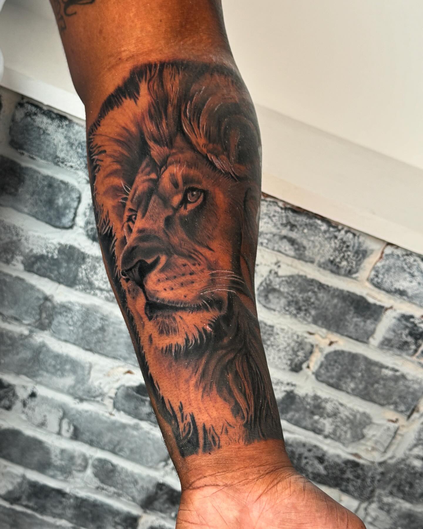 Lion realism tattoo on the forearm by Anthony Macias