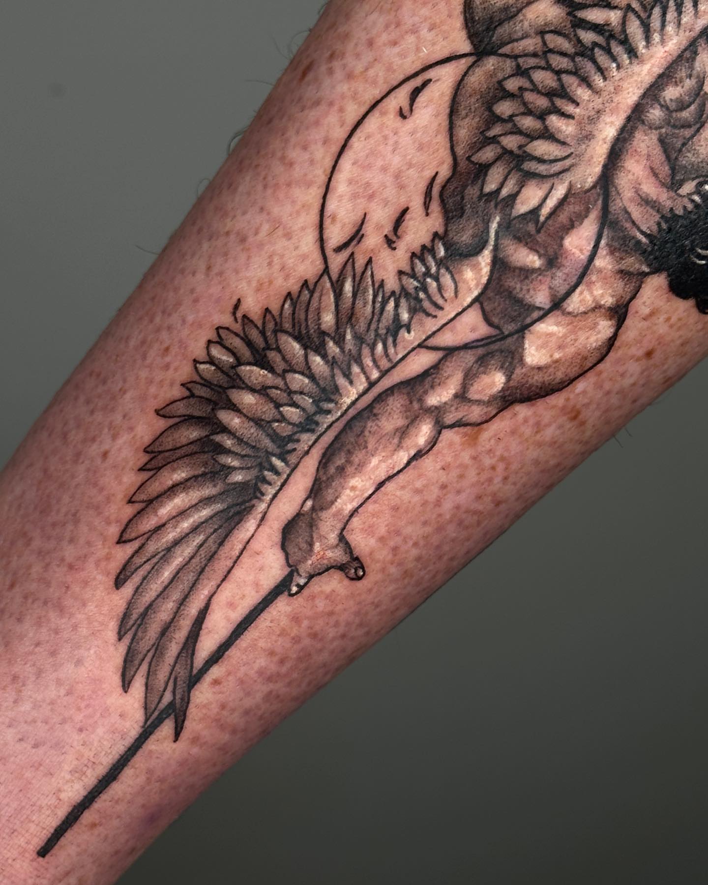 Winged creature black and grey tattoo on the forearm by A L e X