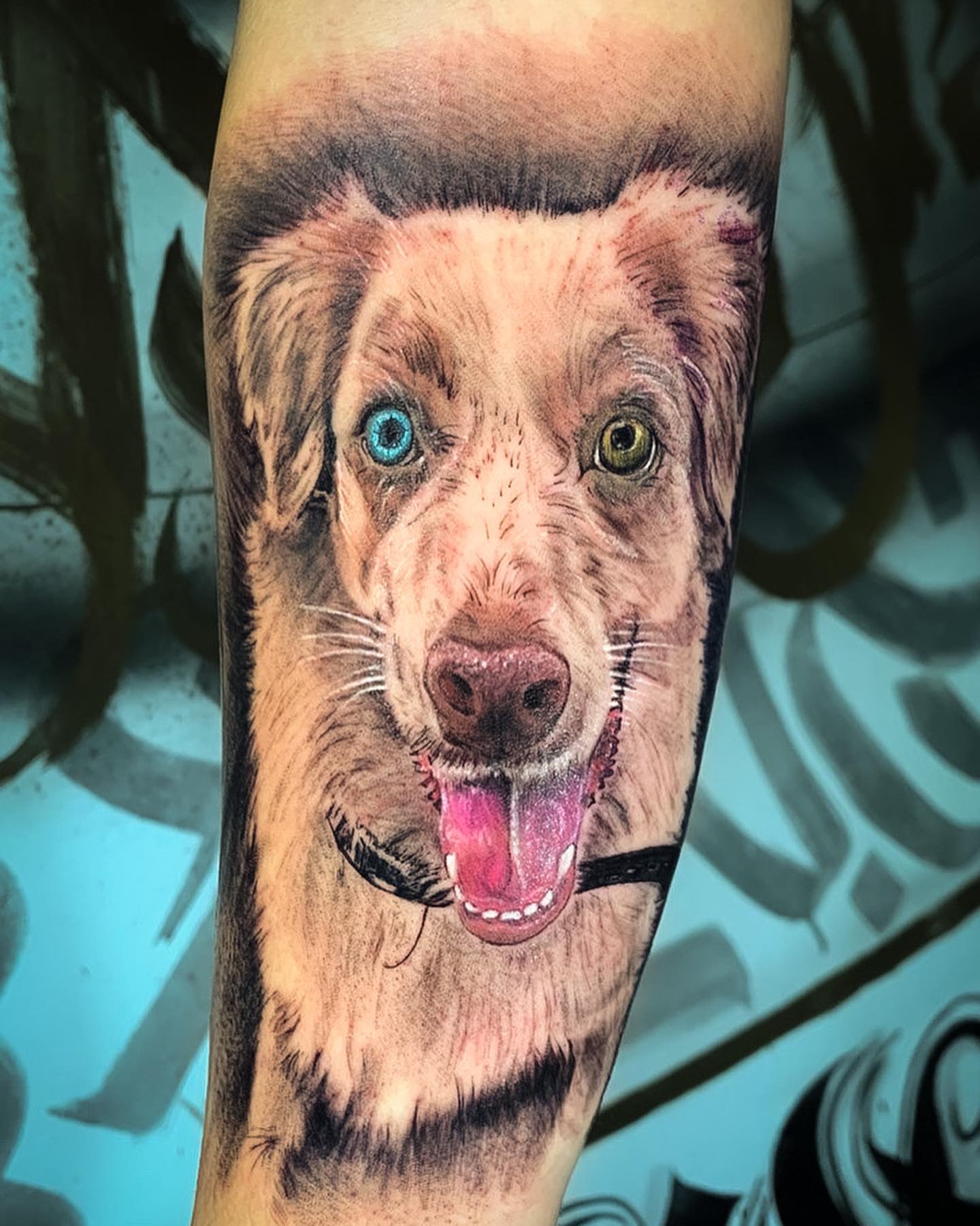 Dog realism tattoo on the forearm by 𝔄𝔩𝔳𝔞𝔯𝔬 𝔓𝔦𝔫𝔦𝔩𝔩𝔞