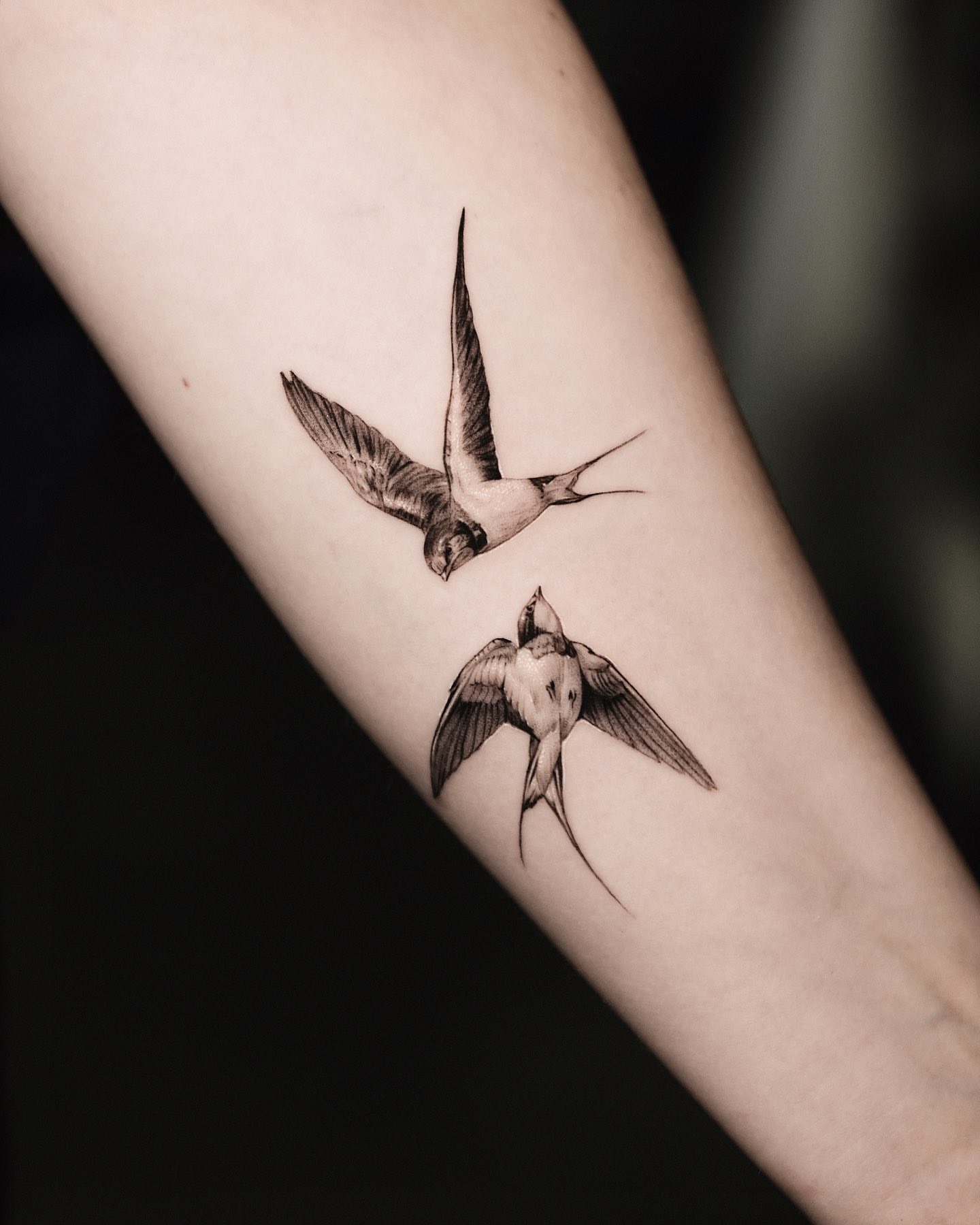 Swallows realism tattoo on the forearm by Kid Needle