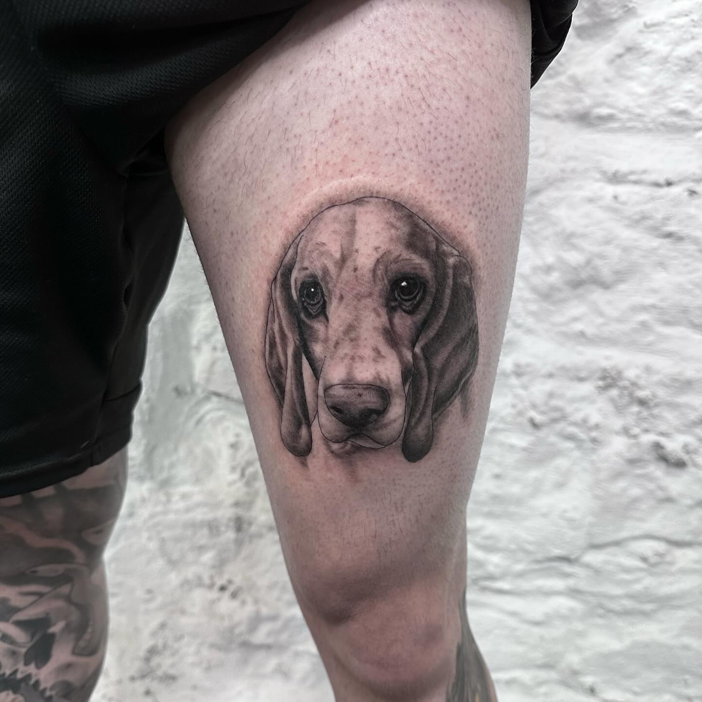 Dog realism tattoo on the thigh by Blake Owens, Nashville, Tennessee