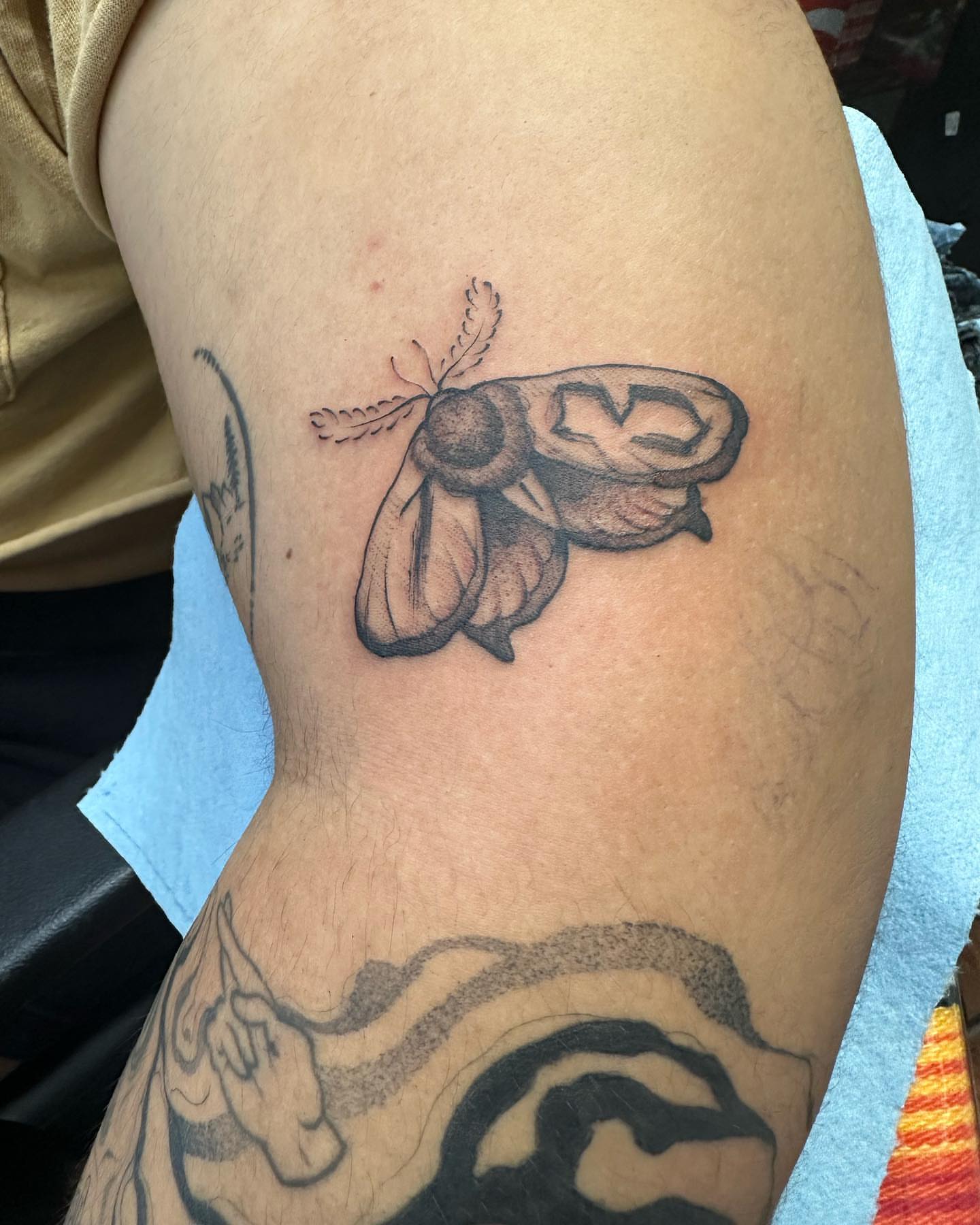 Moth black and grey tattoo on the forearm by Juan Vega (tony)