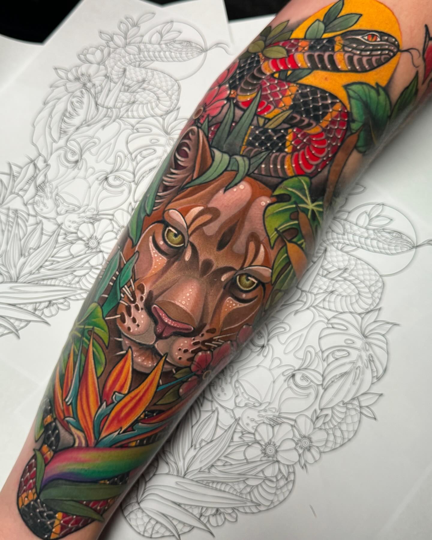 Tiger and snake new school tattoo on the forearm by James Boag