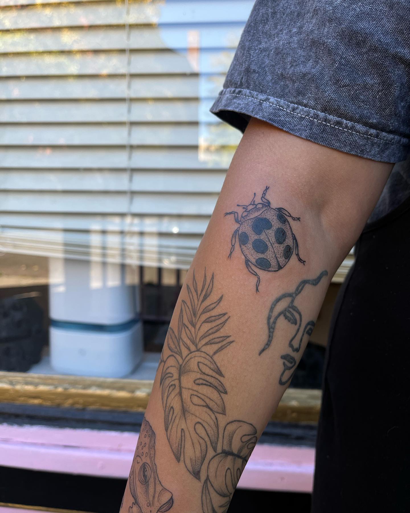 Ladybug and tropical leaf black and grey tattoo on the forearm by ᥴꫝꪶꪮꫀ 𝘬ꪶꫀ𝓲ꪀ ❤️‍🔥, Denver, Colorado