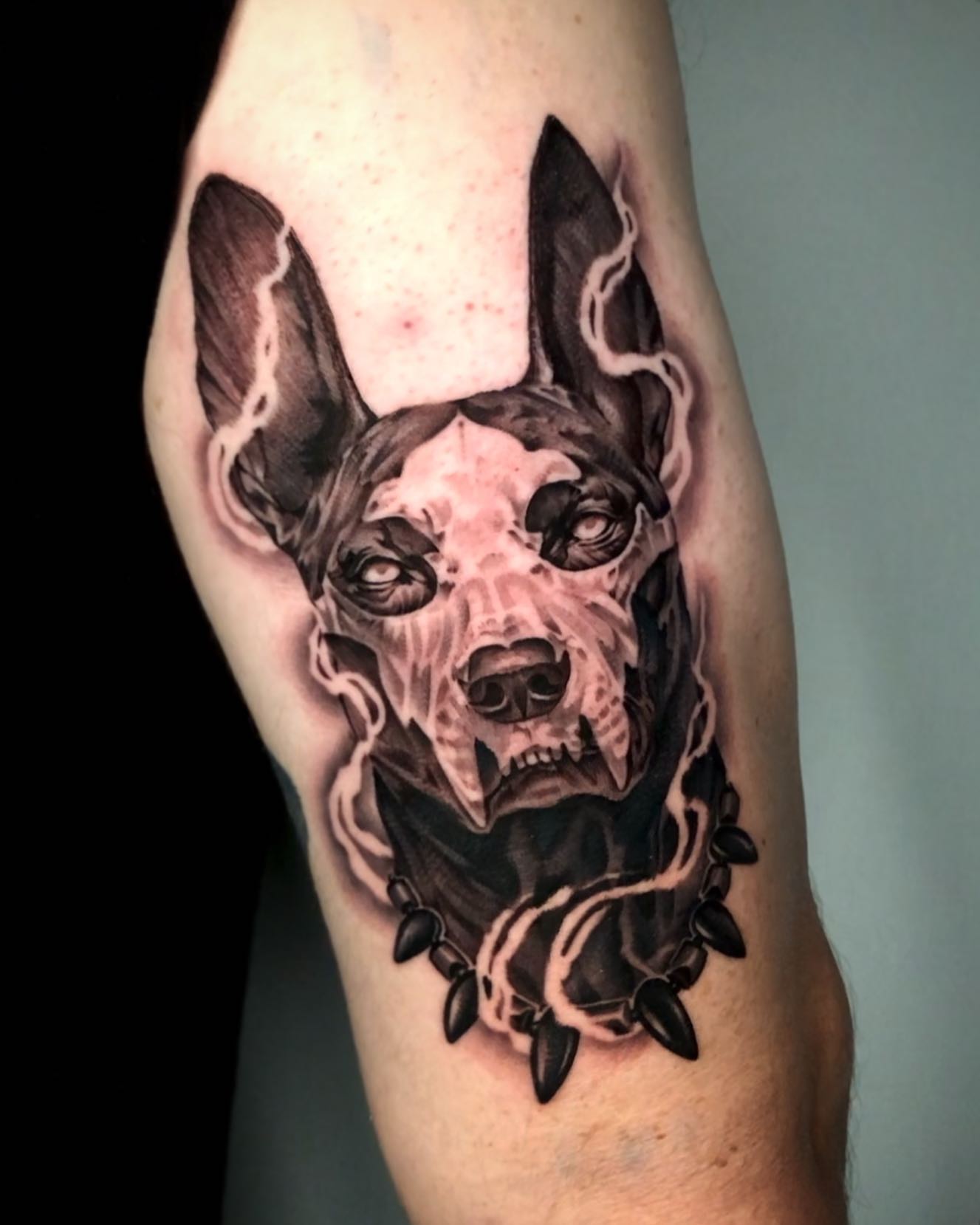 Dog realism tattoo on the forearm by David Torres