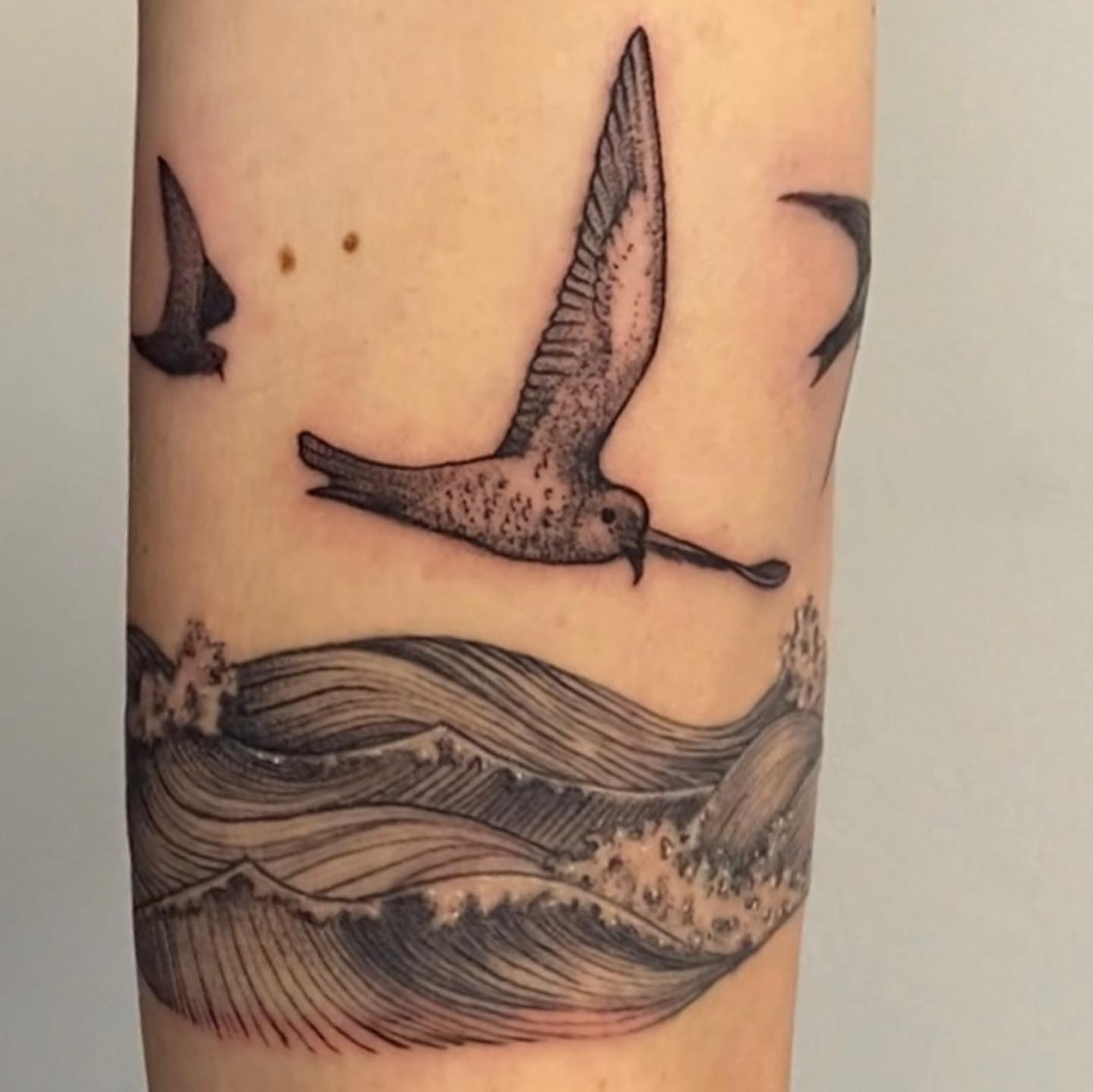 Tattoo by @alleybangarang — black_and_grey, realism