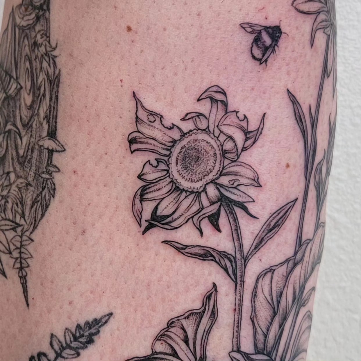 Sunflower black and grey tattoo on the forearm by Sierra (cc) Klein