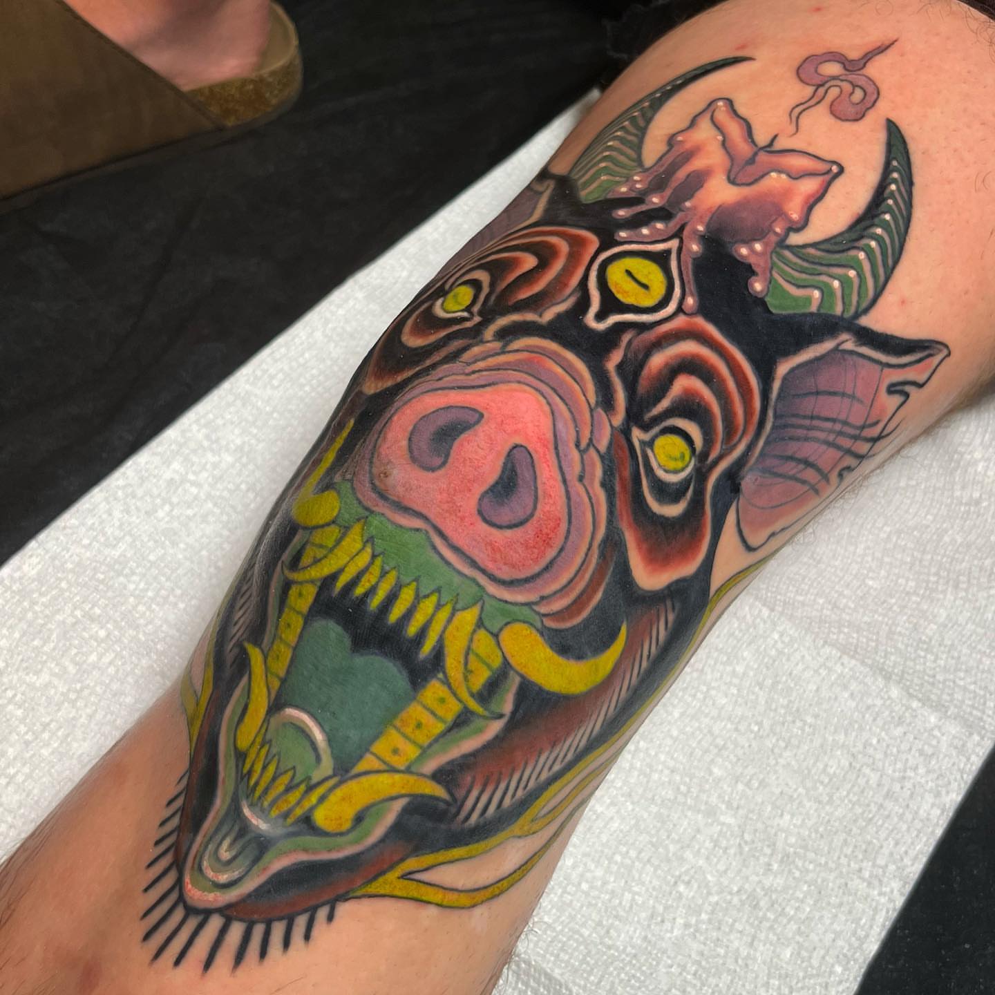 Bull American traditional tattoo on the forearm by Sara Lewis
