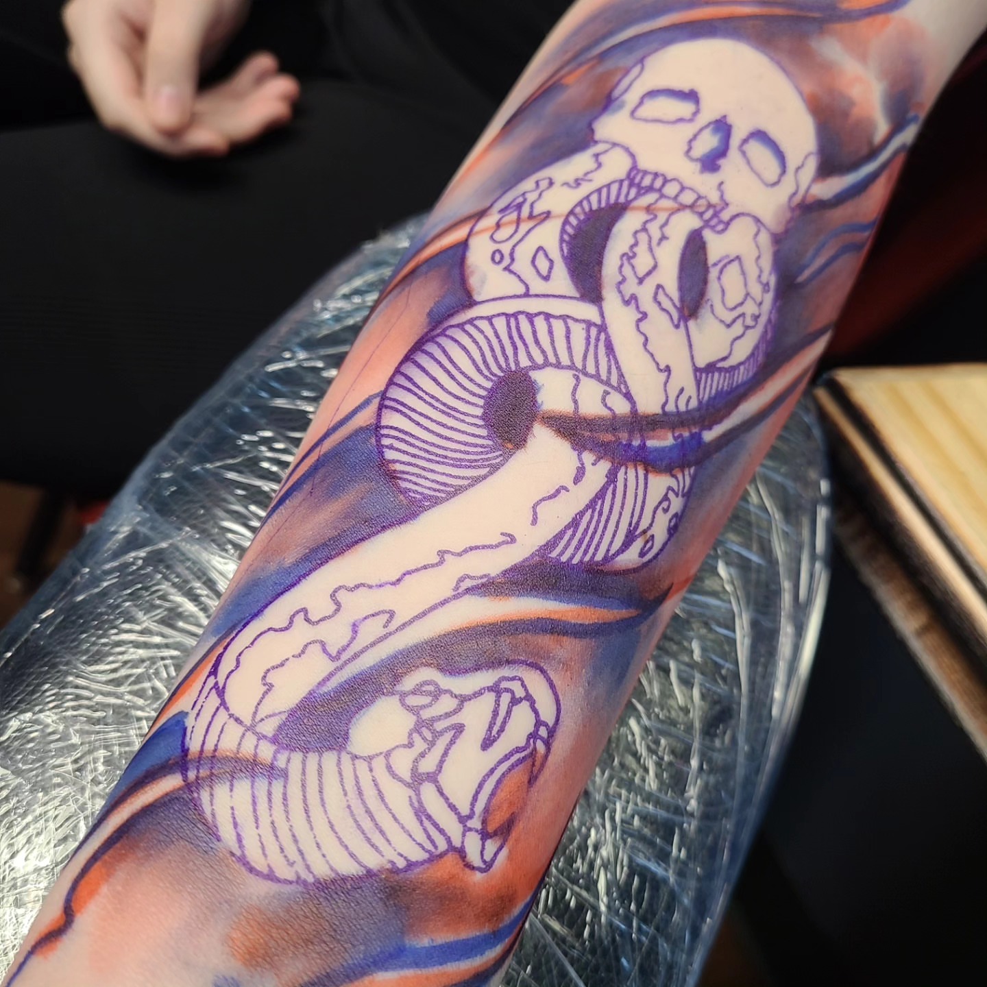Snake and skull neo-traditional tattoo on the forearm by David Johnson