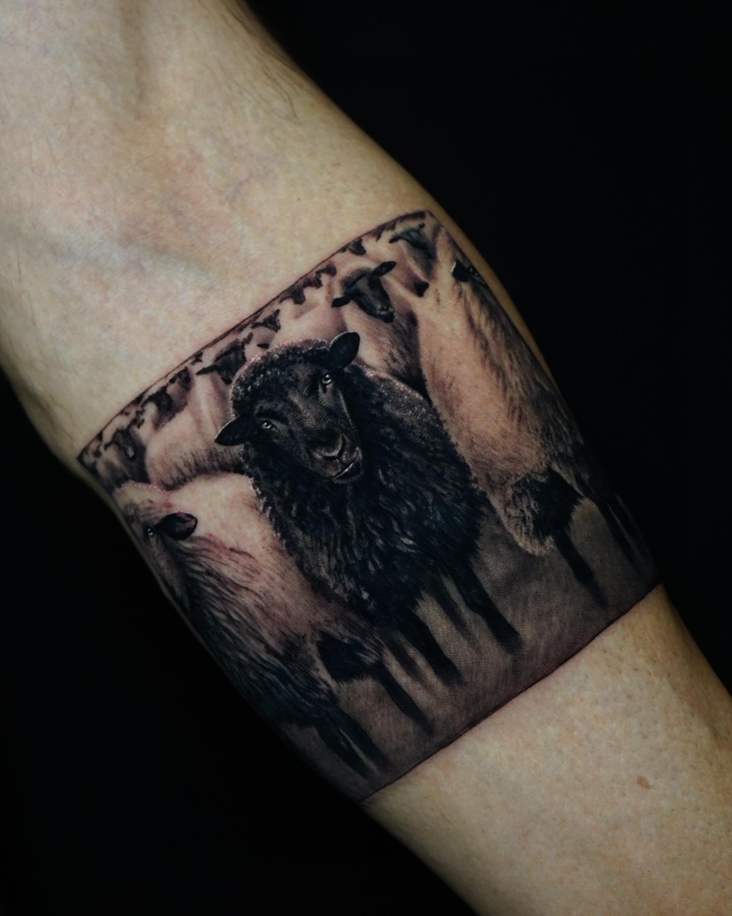 Sheep realism tattoo on the forearm by JoannaTattoos