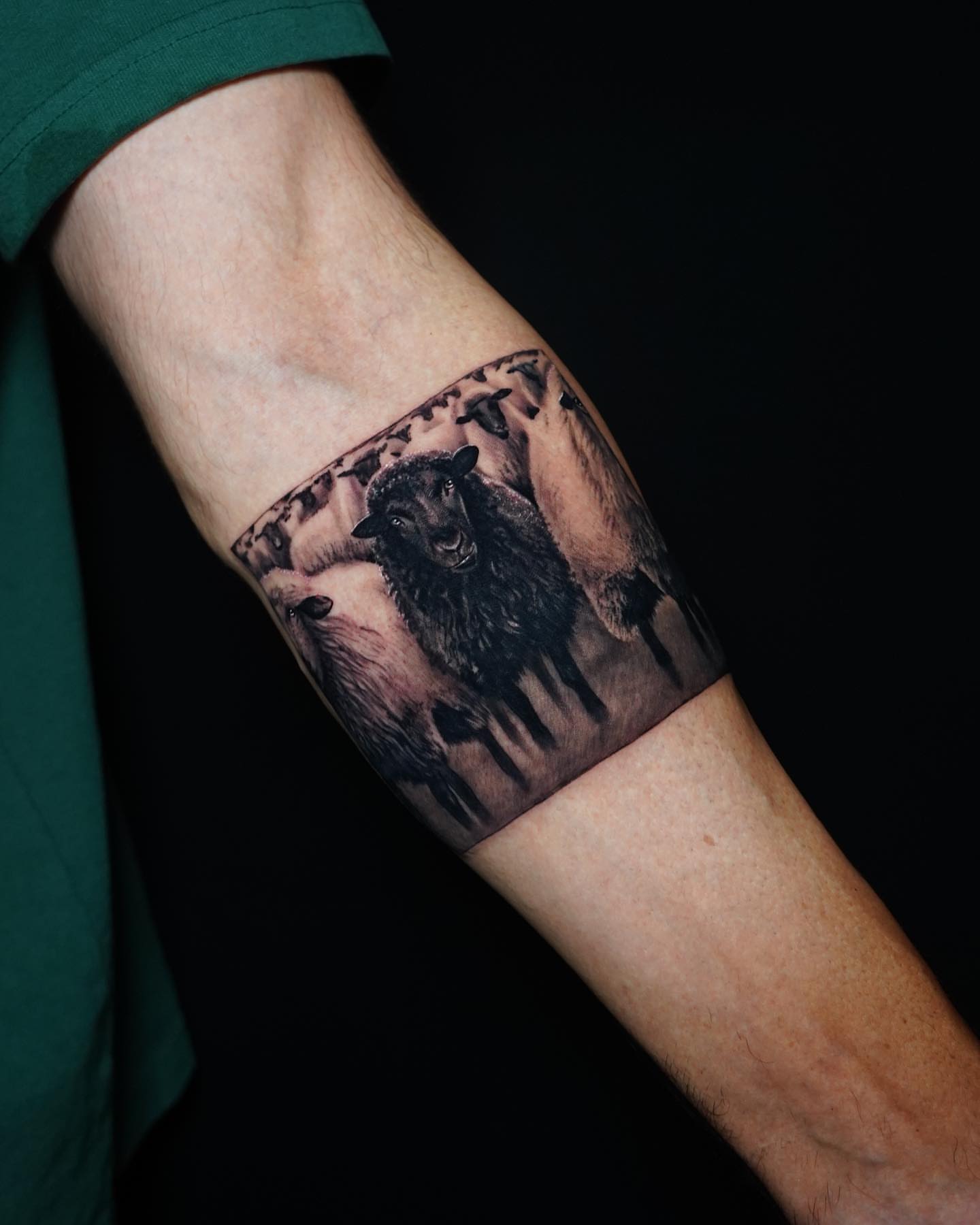 Sheep realism tattoo on the forearm by JoannaTattoos