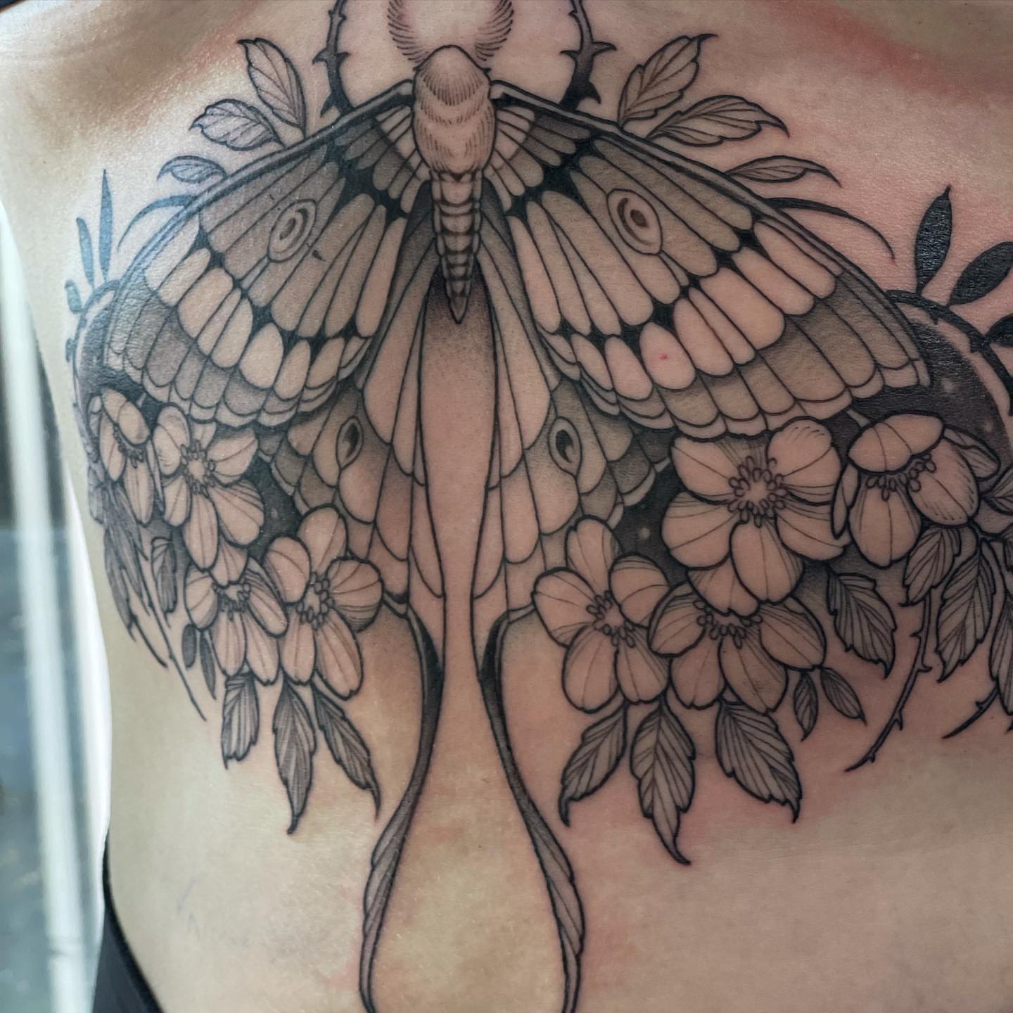 Moth and flowers realism tattoo on the back by Madelyn Roberts, Bellingham, Washington