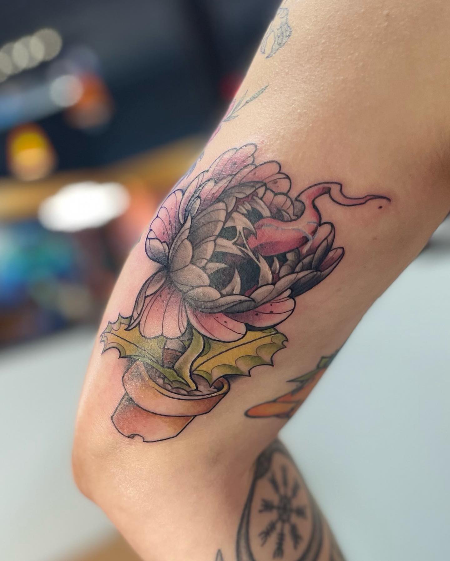 Flower in pot American traditional tattoo on the forearm by Robin Wintringham