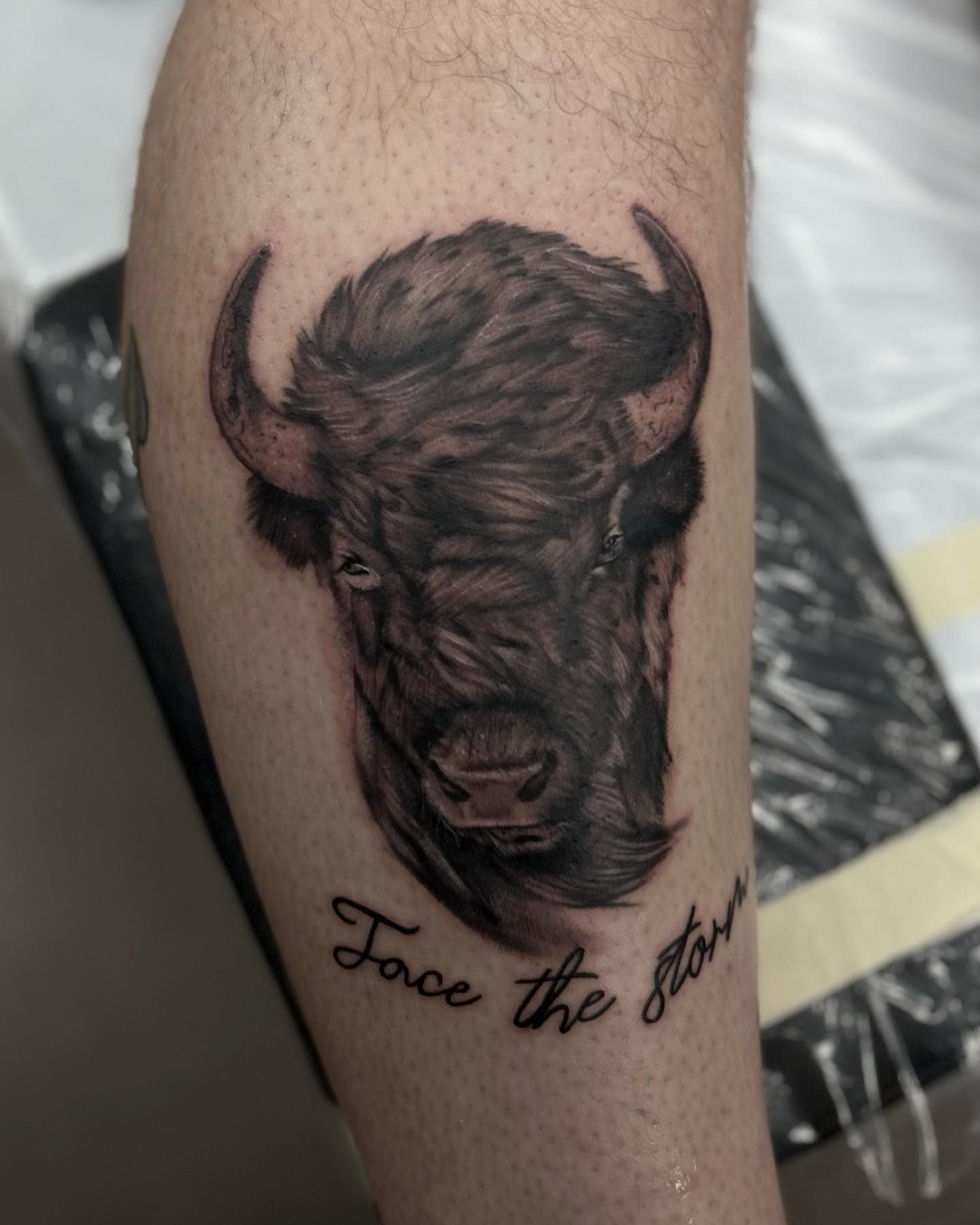 Buffalo realism tattoo on the forearm by Anahi