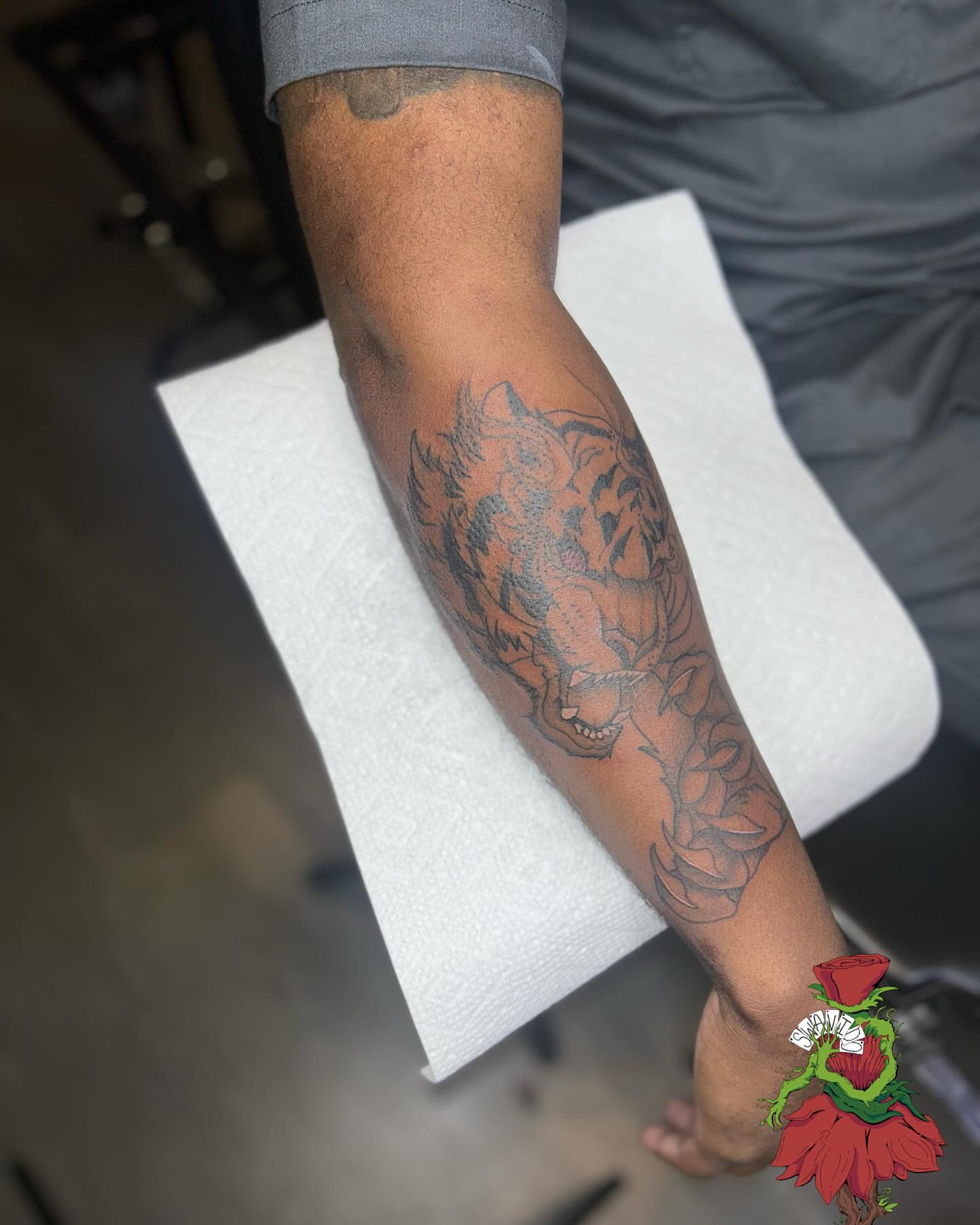 Tiger and roses American traditional tattoo on the forearm by Marques Neal
