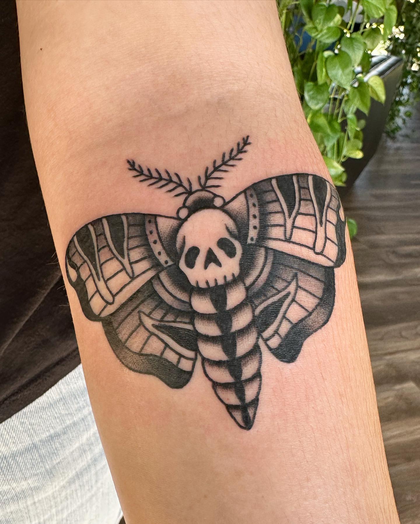Moth with skull black and grey tattoo on the forearm by Jess Ritchie, Austin, Texas