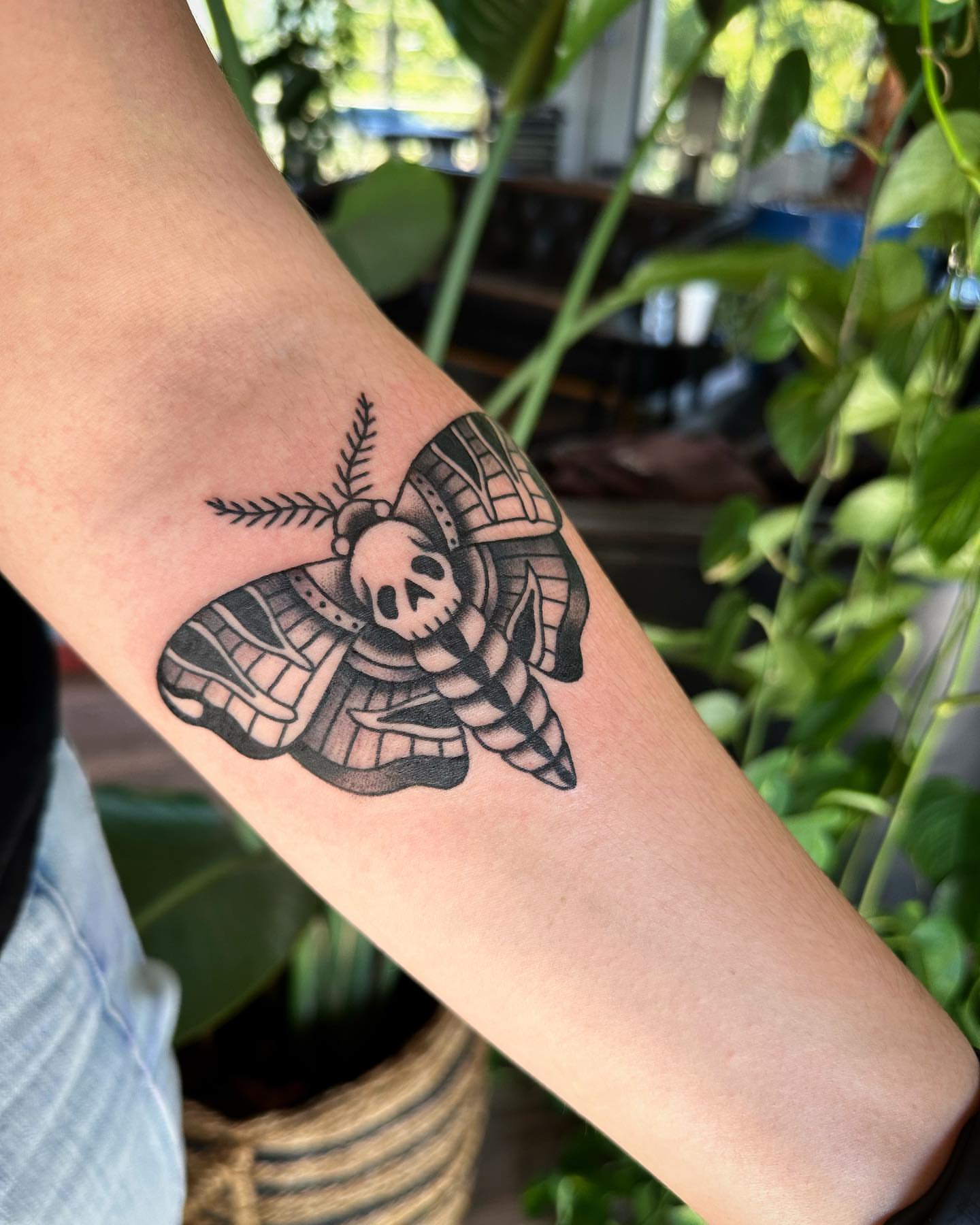 Moth skull American traditional tattoo on the forearm by Jess Ritchie, Austin, Texas