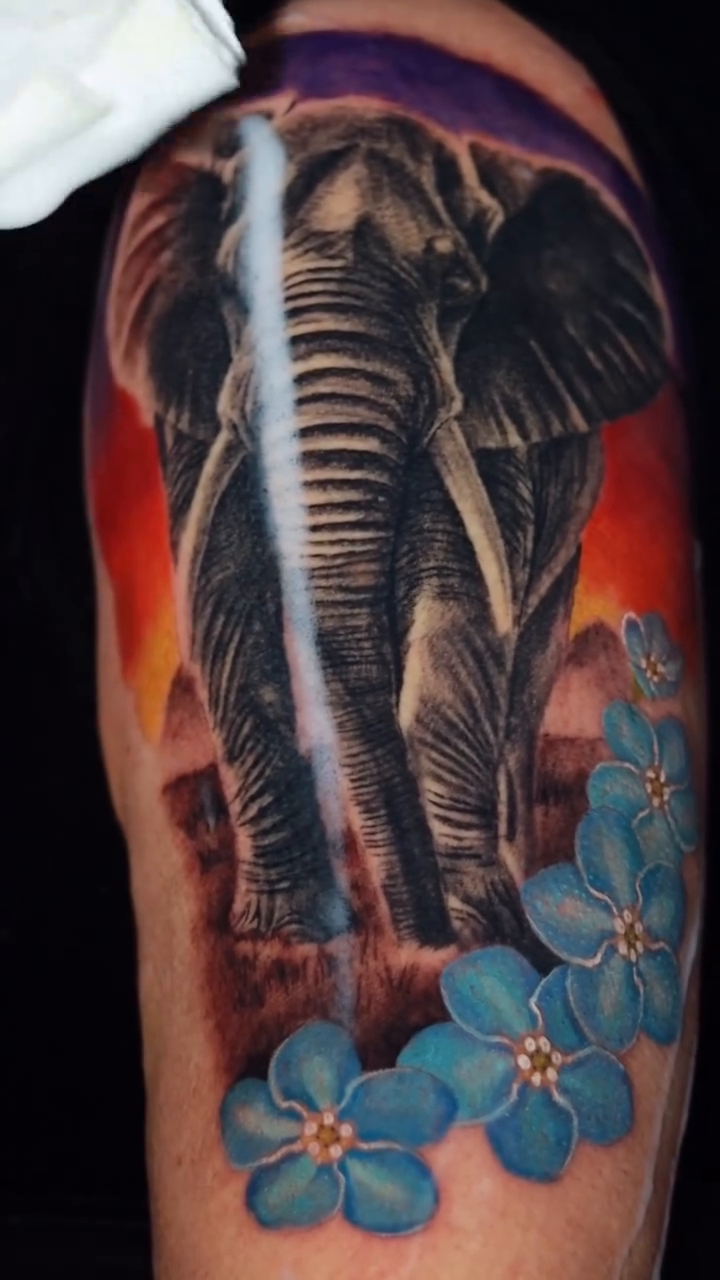 Elephant and flowers realism tattoo by Jose Alvaradođź’‰
