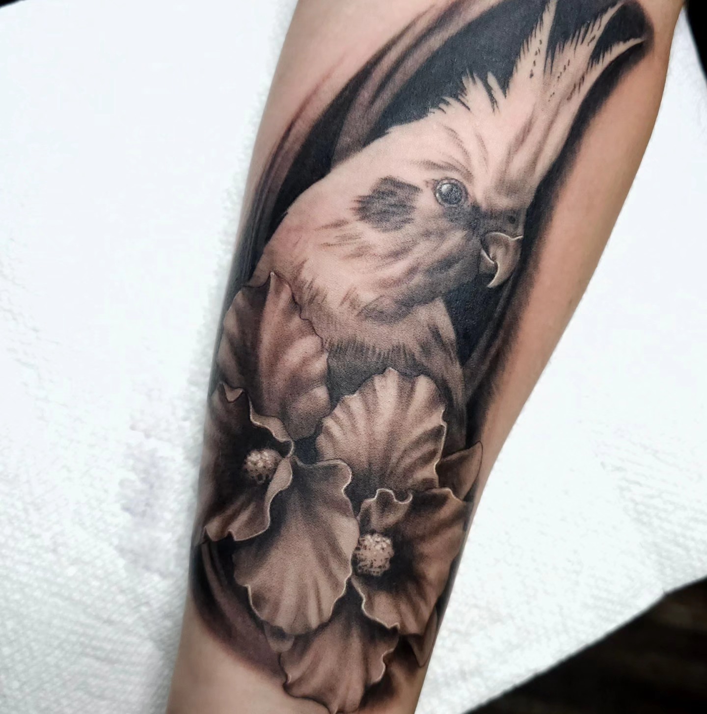 Bird and flowers realism tattoo on the forearm by Gabrielle Nicole Soucie