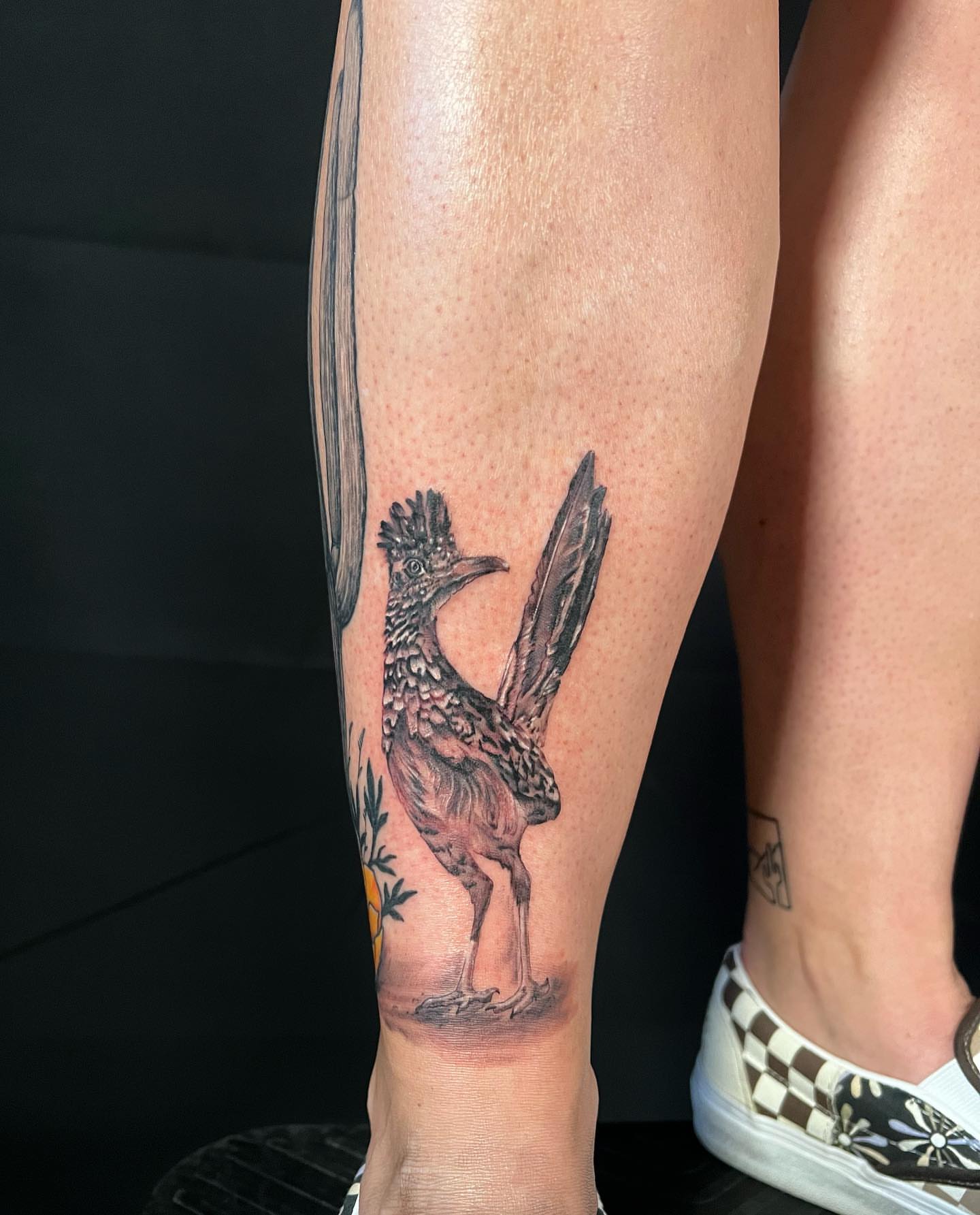 Roadrunner realism tattoo on the calf by πππππ βππ£π£ππ€ππ , Tucson, Arizona