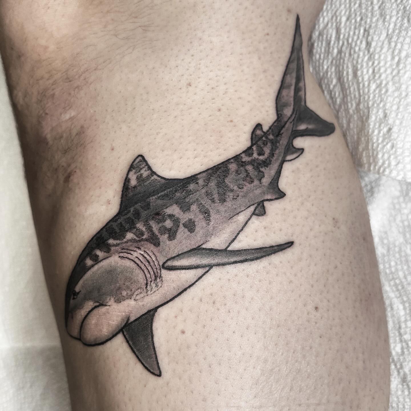 Shark black and grey tattoo on the thigh by ๐ฌ๐๐๐๐๐๐ ๐ฟ๐๐๐๐๐๐, Dickson, Tennessee