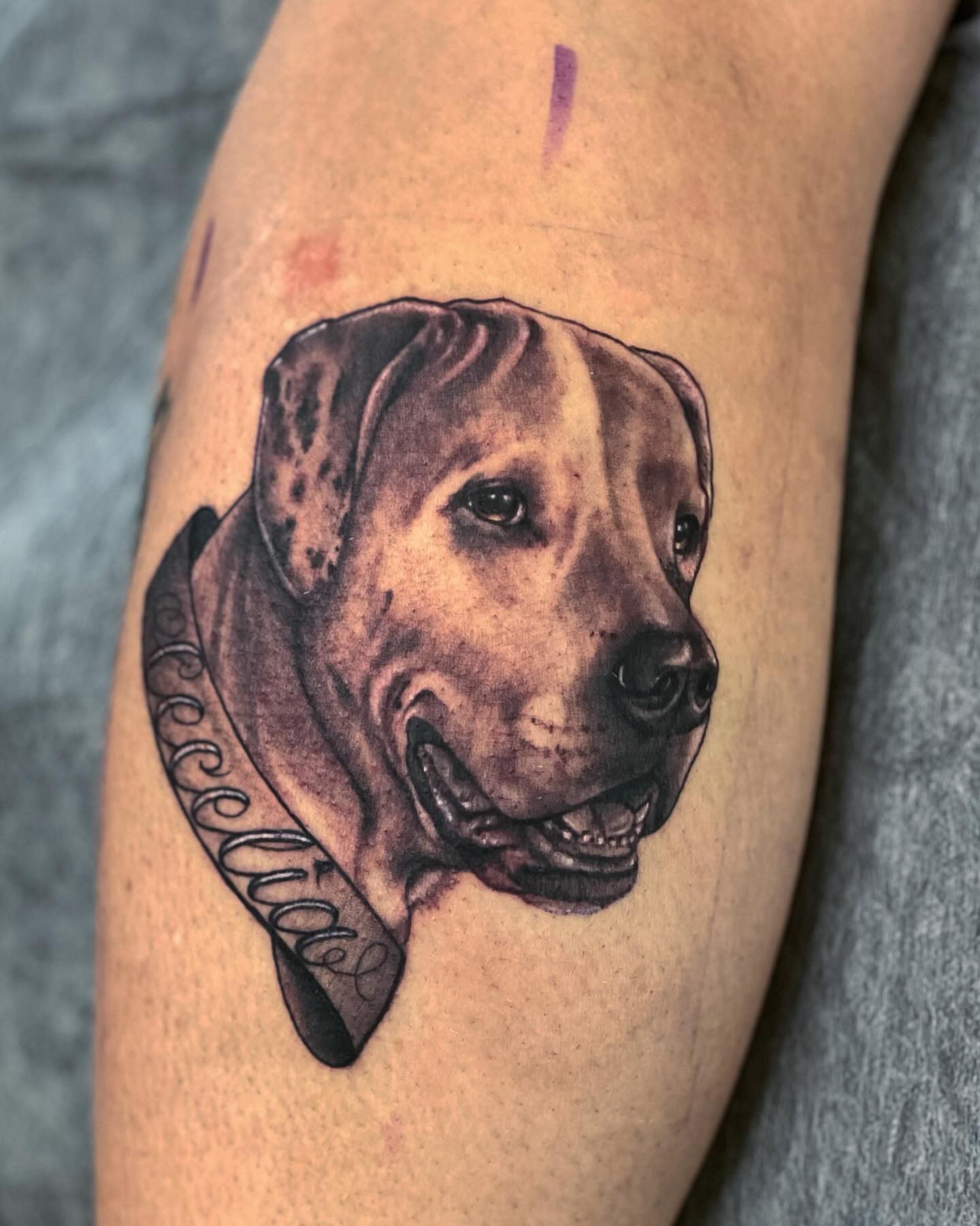 Tattoo by @shesarudemisfit — realism