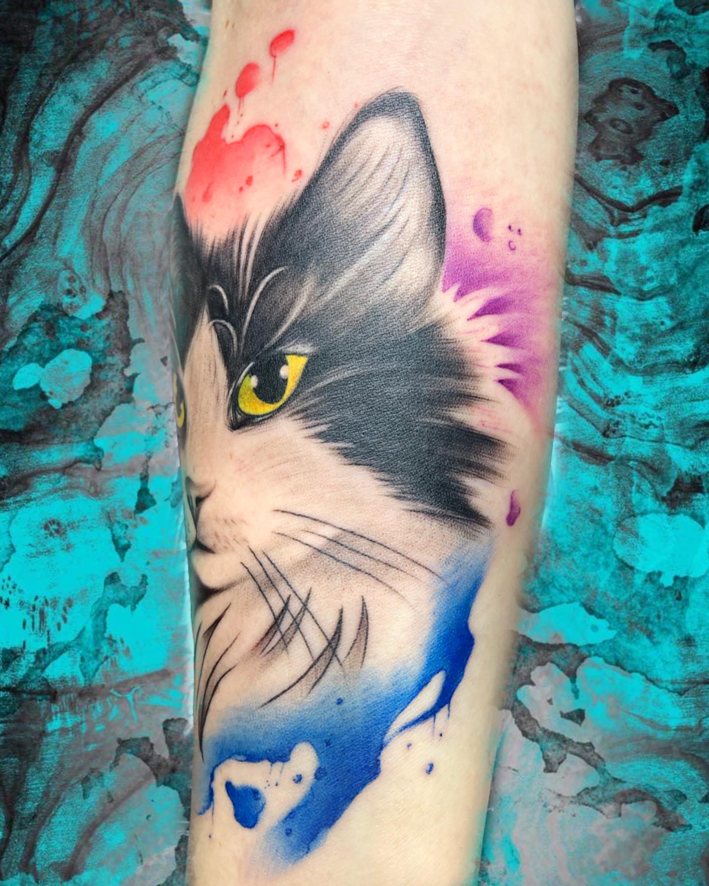Cat realism tattoo on the forearm by Luis Chauta