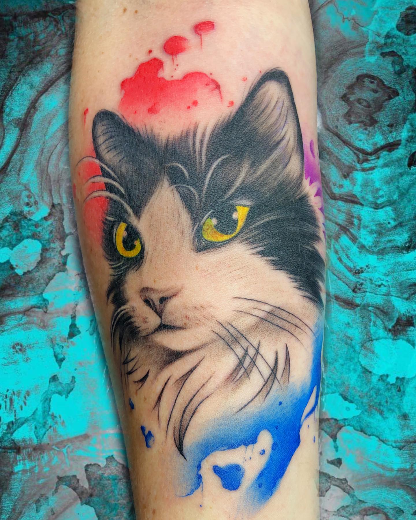 Cat realism tattoo on the forearm by Luis Chauta