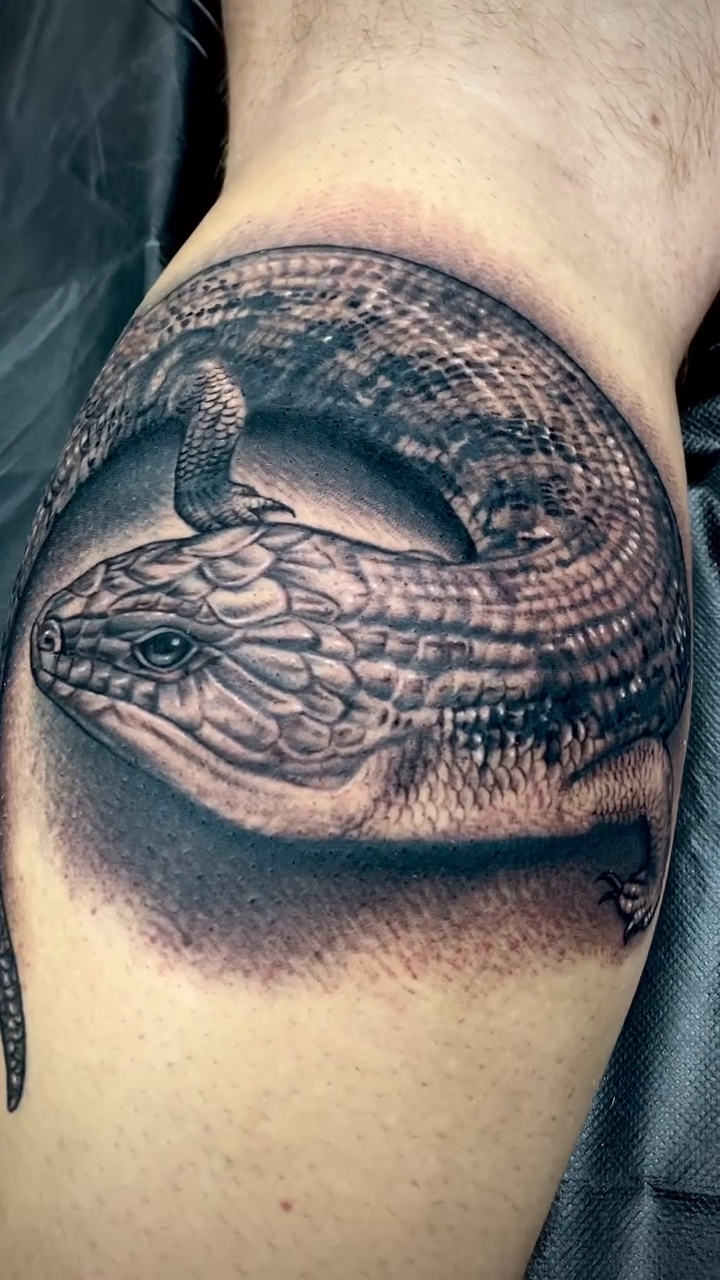 Lizard realism tattoo by Las Vegas tattoo Artist