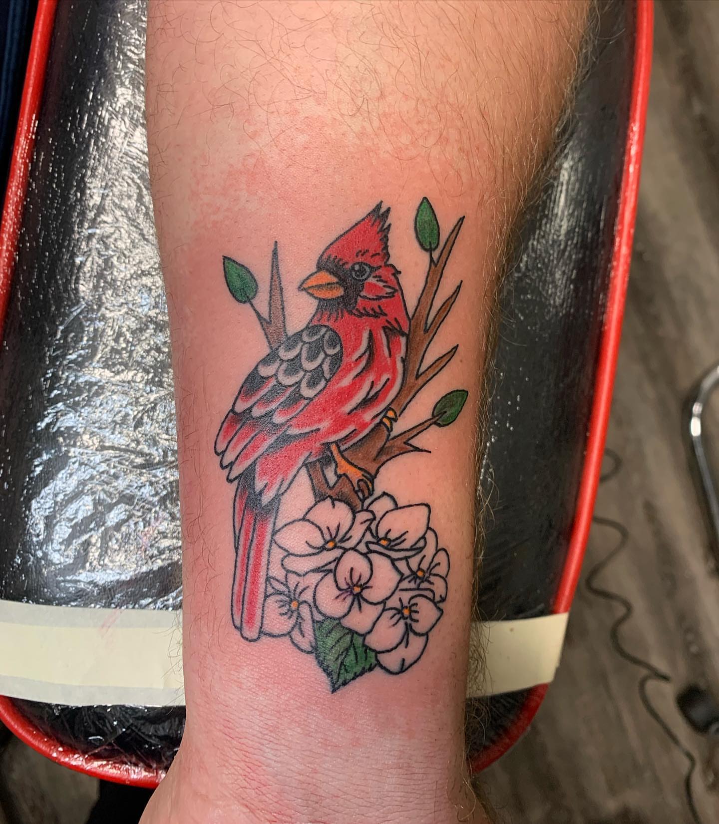 Cardinal bird American traditional tattoo on the forearm by @goat76