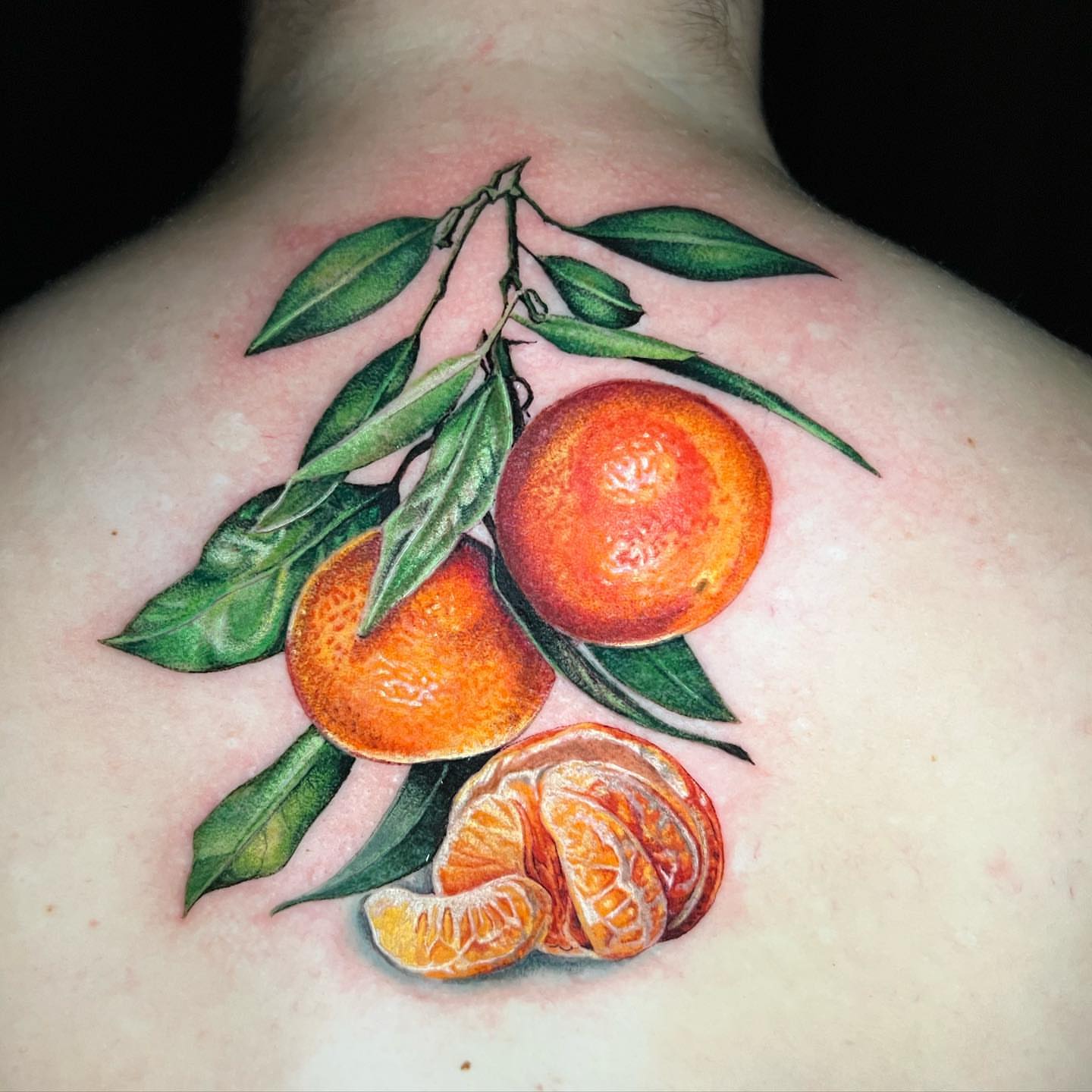 Mandarin oranges realism tattoo on the back by Irina Shapiro, Somerville, Massachusetts