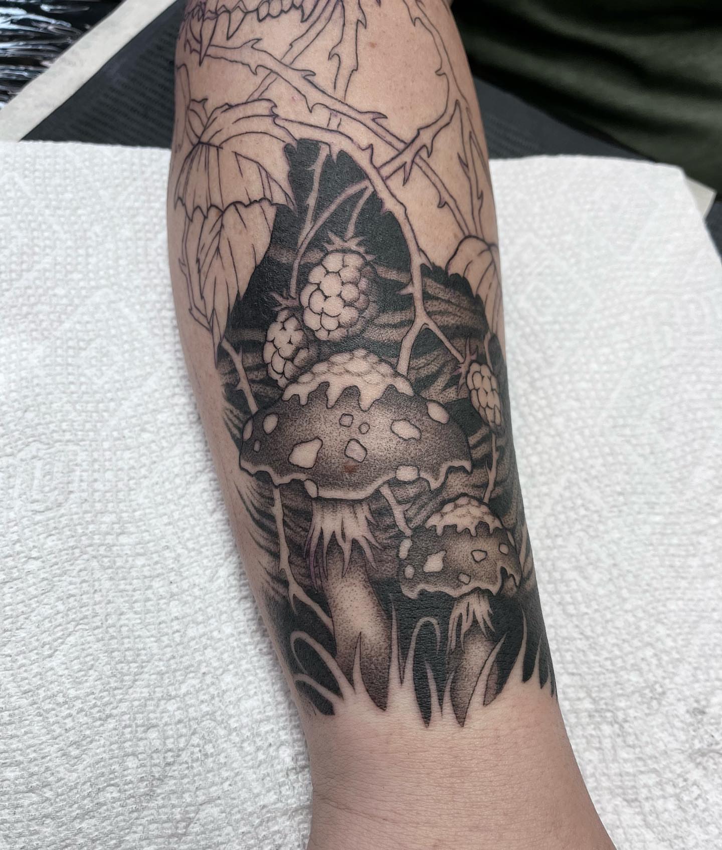 Mushroom and berries realism tattoo on the forearm by ๐๐๐๐๐๐๐