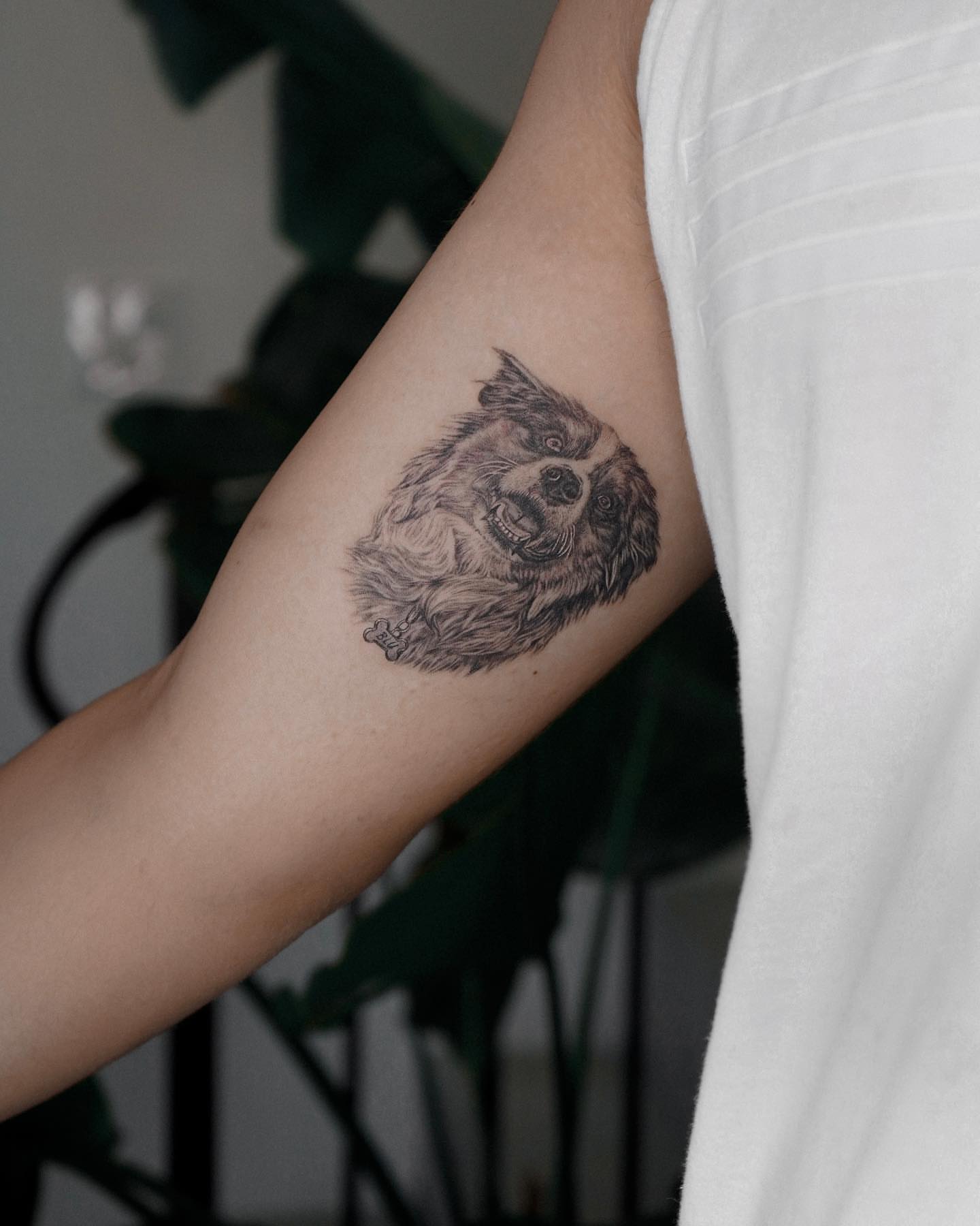 Dog realism tattoo on the forearm by Kate