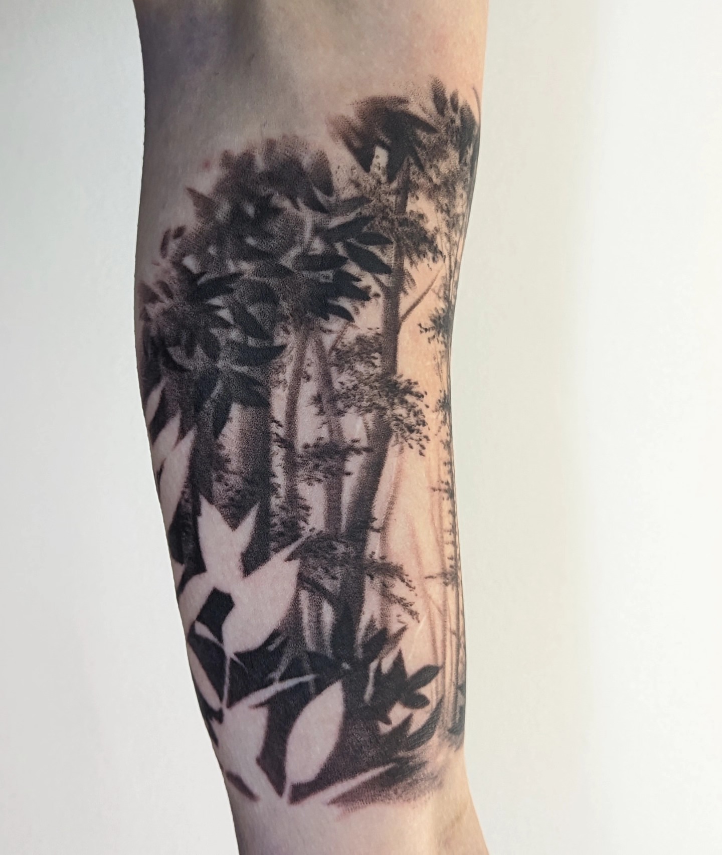 Bamboo forest realism tattoo on the forearm by Sean Costello