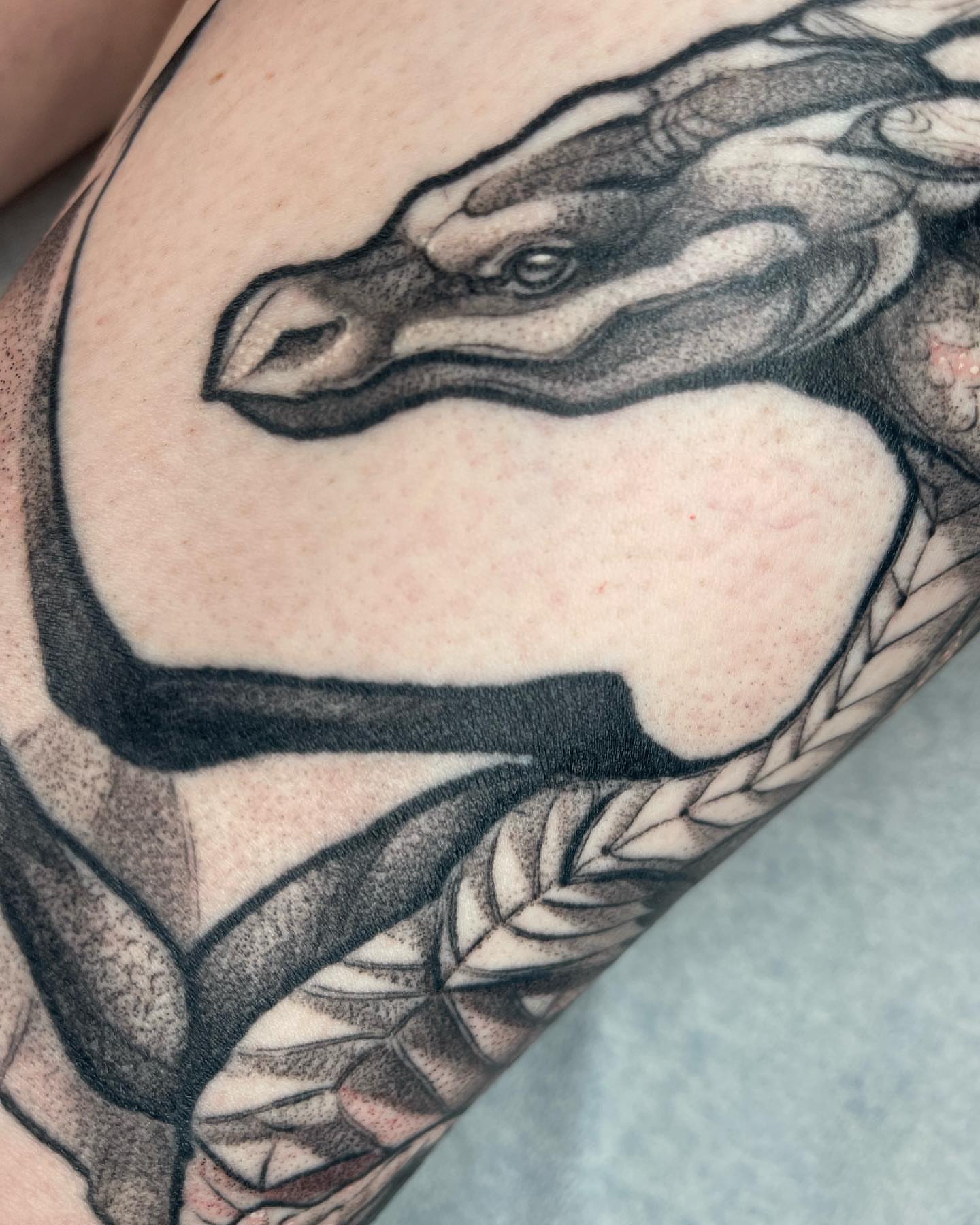 Tattoo by @judes_draws — black_and_grey, realism