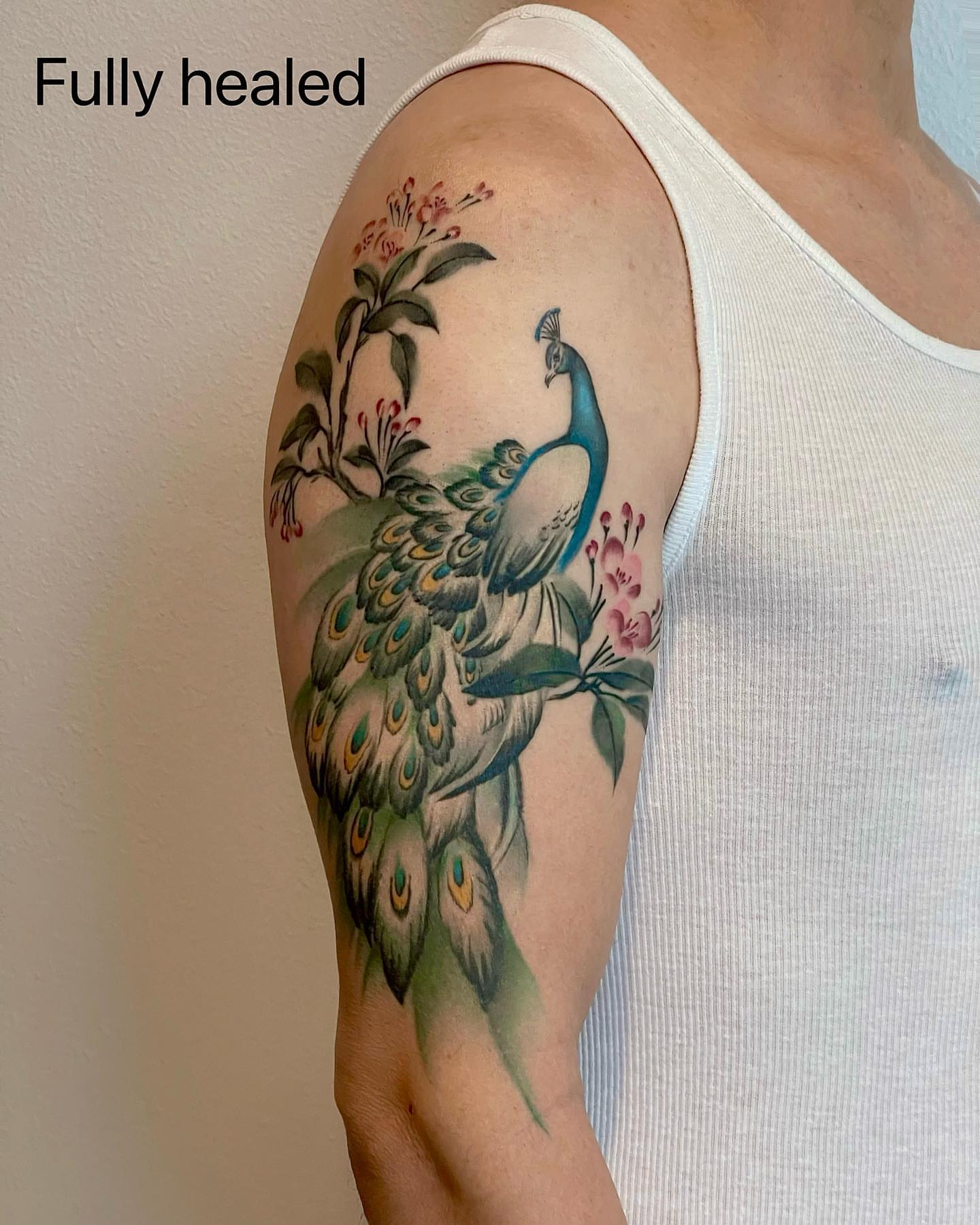 Peacock realism tattoo on the upper arm by Seattle Tattoo Artist PingPing, Seattle, Washington