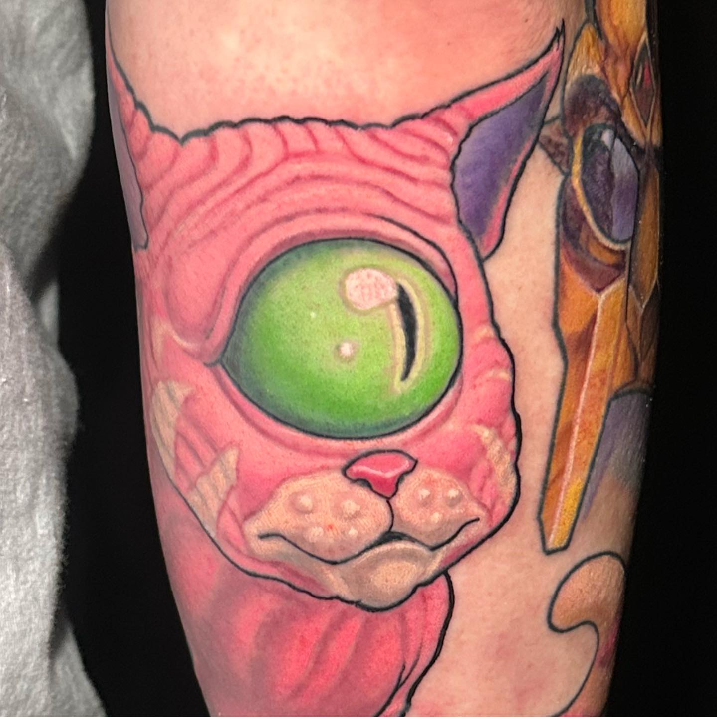 Cat realism tattoo on the forearm by shane baker
