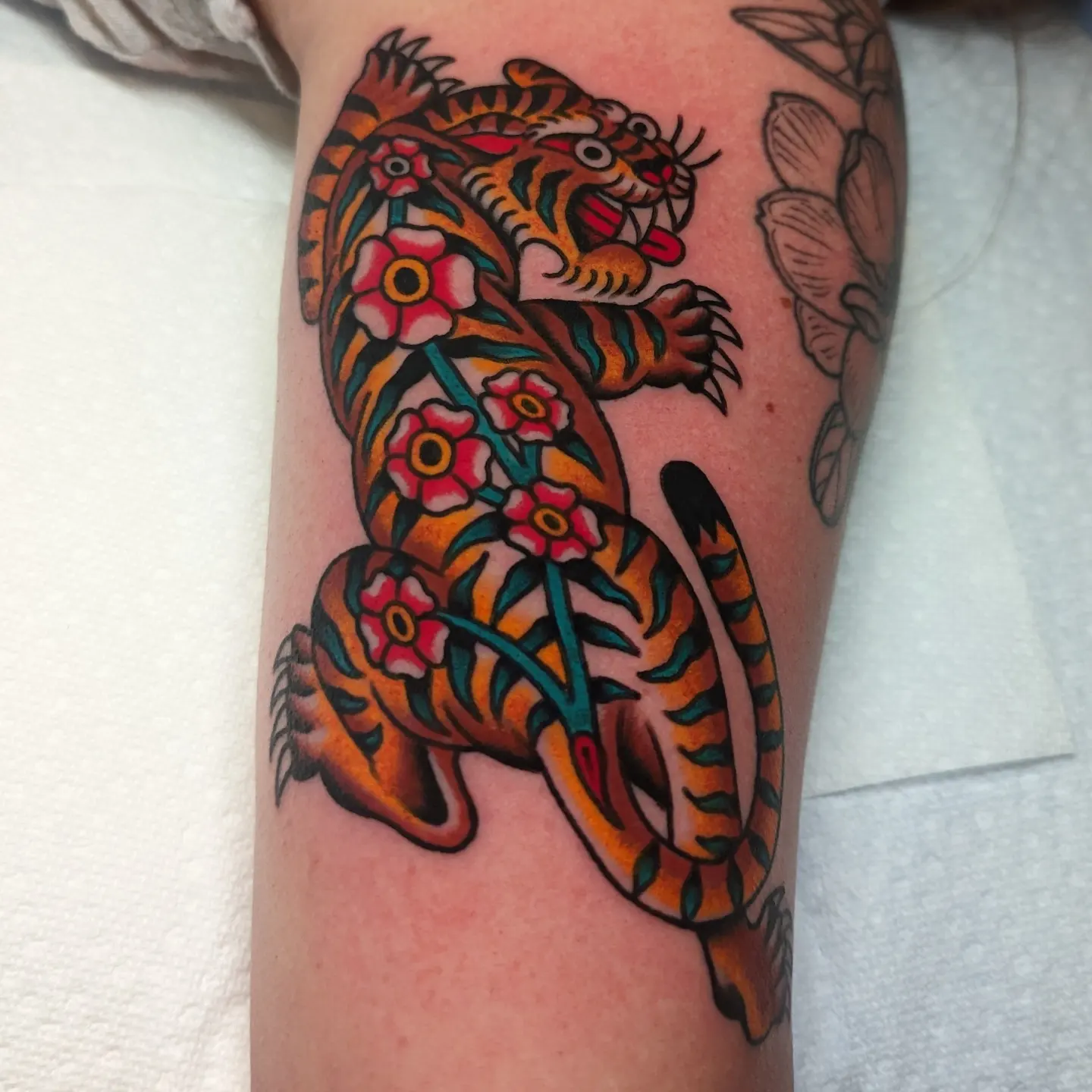 Tiger with floral patterns American traditional tattoo on the forearm by Zack Mueller