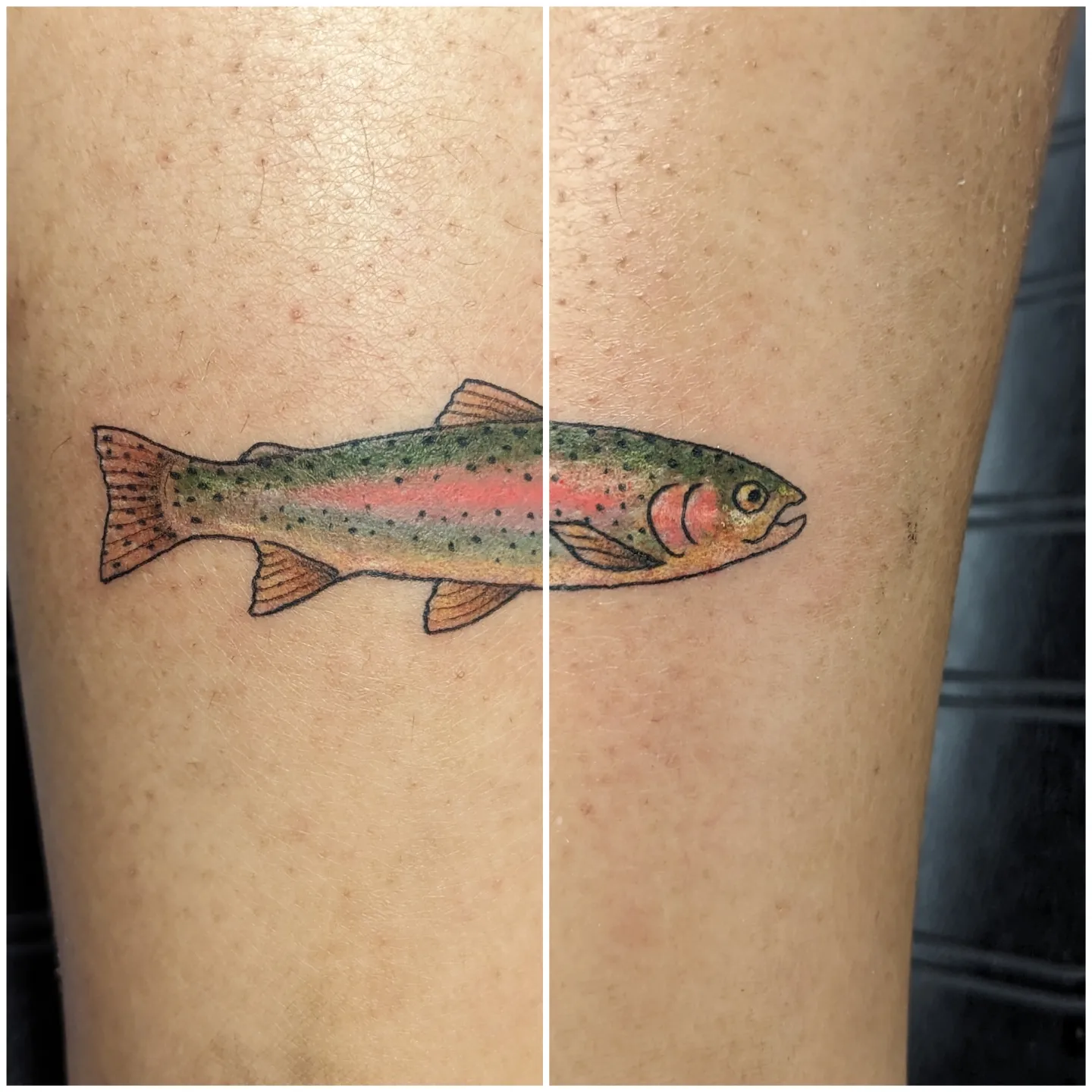 Rainbow trout American traditional tattoo on the forearm by Lorelei