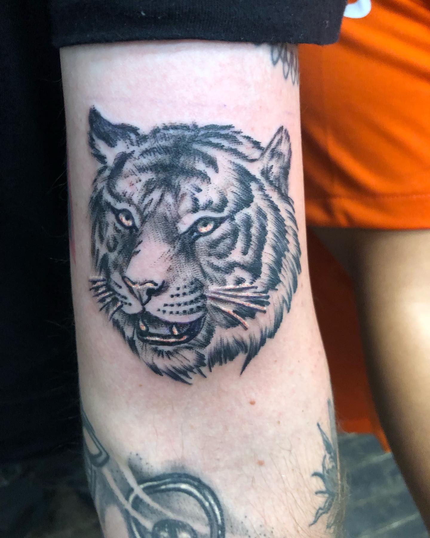 Tiger realism tattoo on the forearm by A.W.