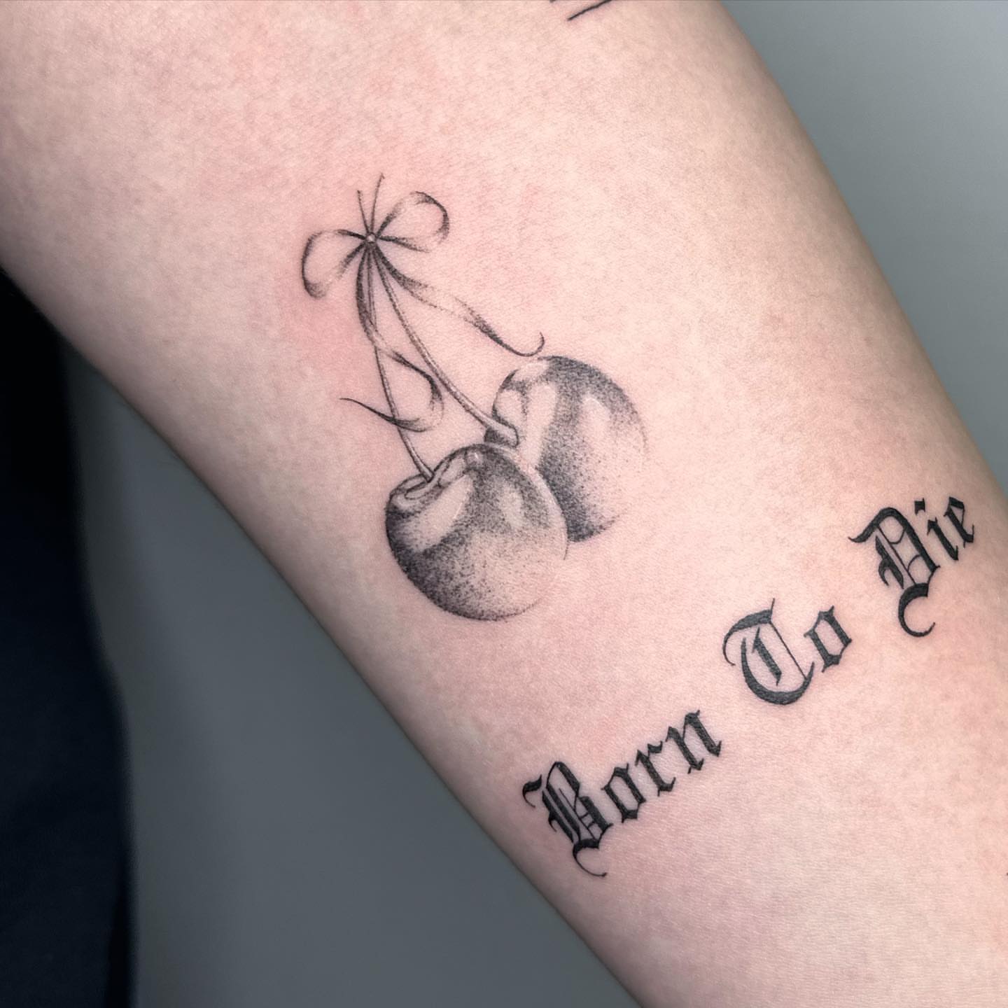 Cherries dotwork tattoo on the forearm by ๐๐๐๐ ๐๐๐๐