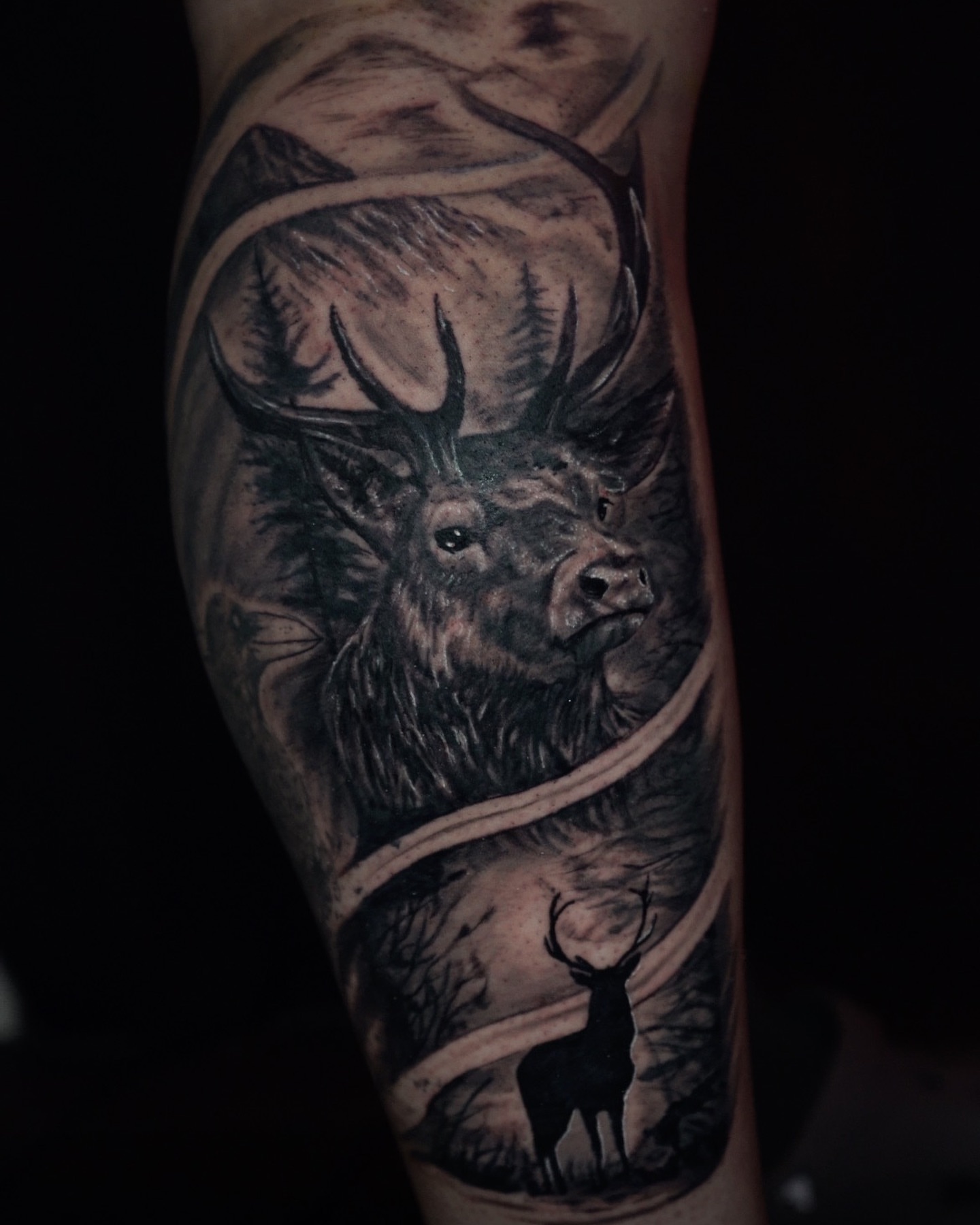 Stag realism tattoo on the forearm by Devin Mullen