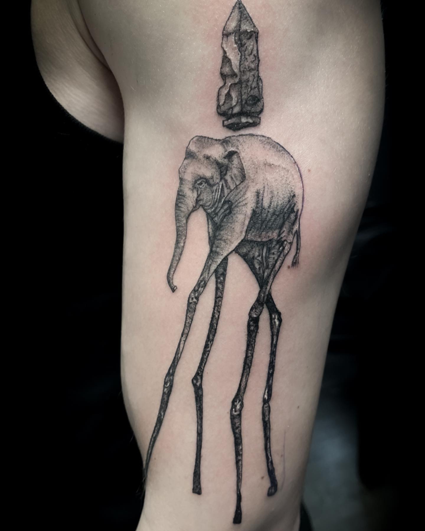 Tattoo by @lauren_tattoosart — black_and_grey, realism