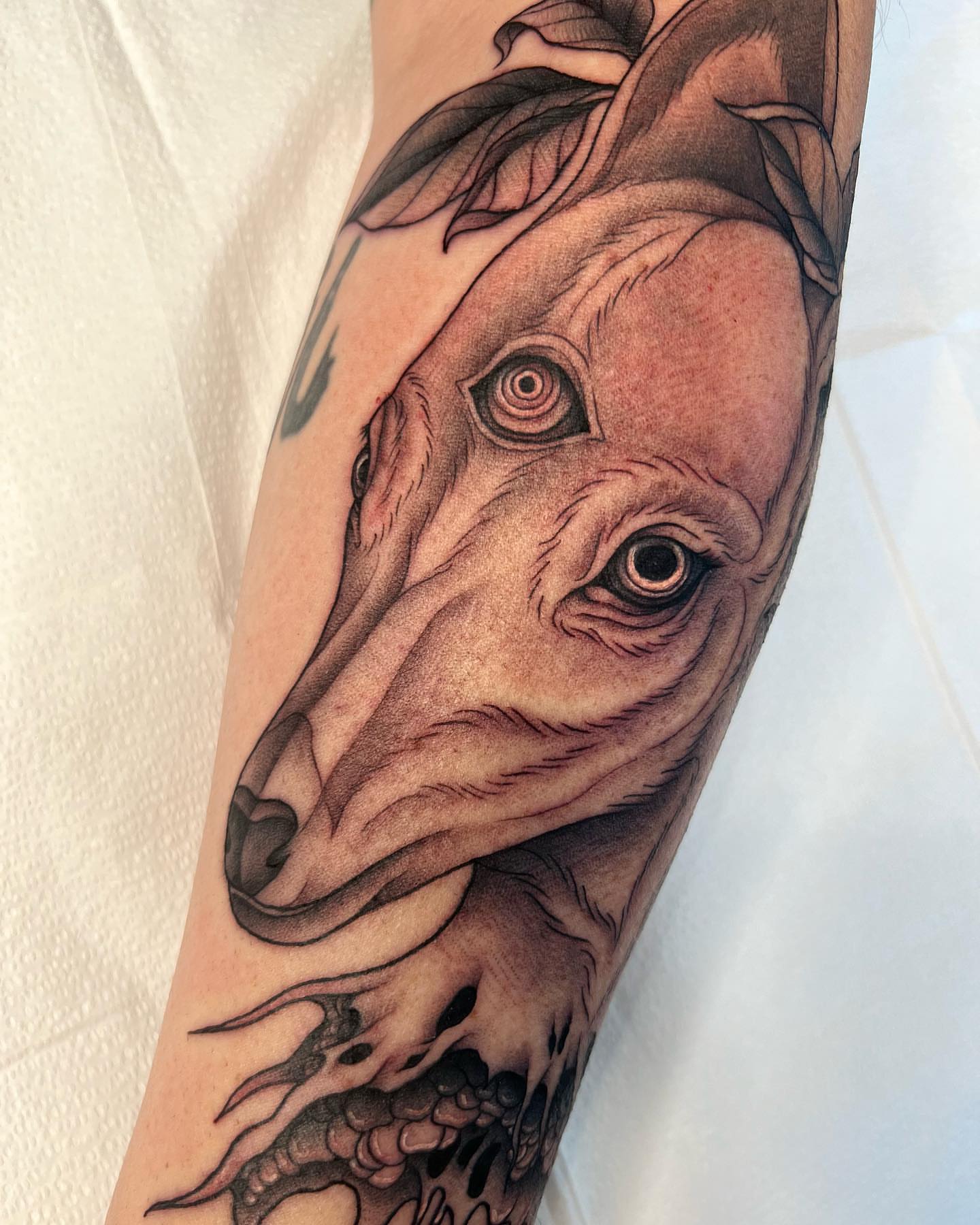 Horse head realism tattoo on the forearm by Mia Manzanedo