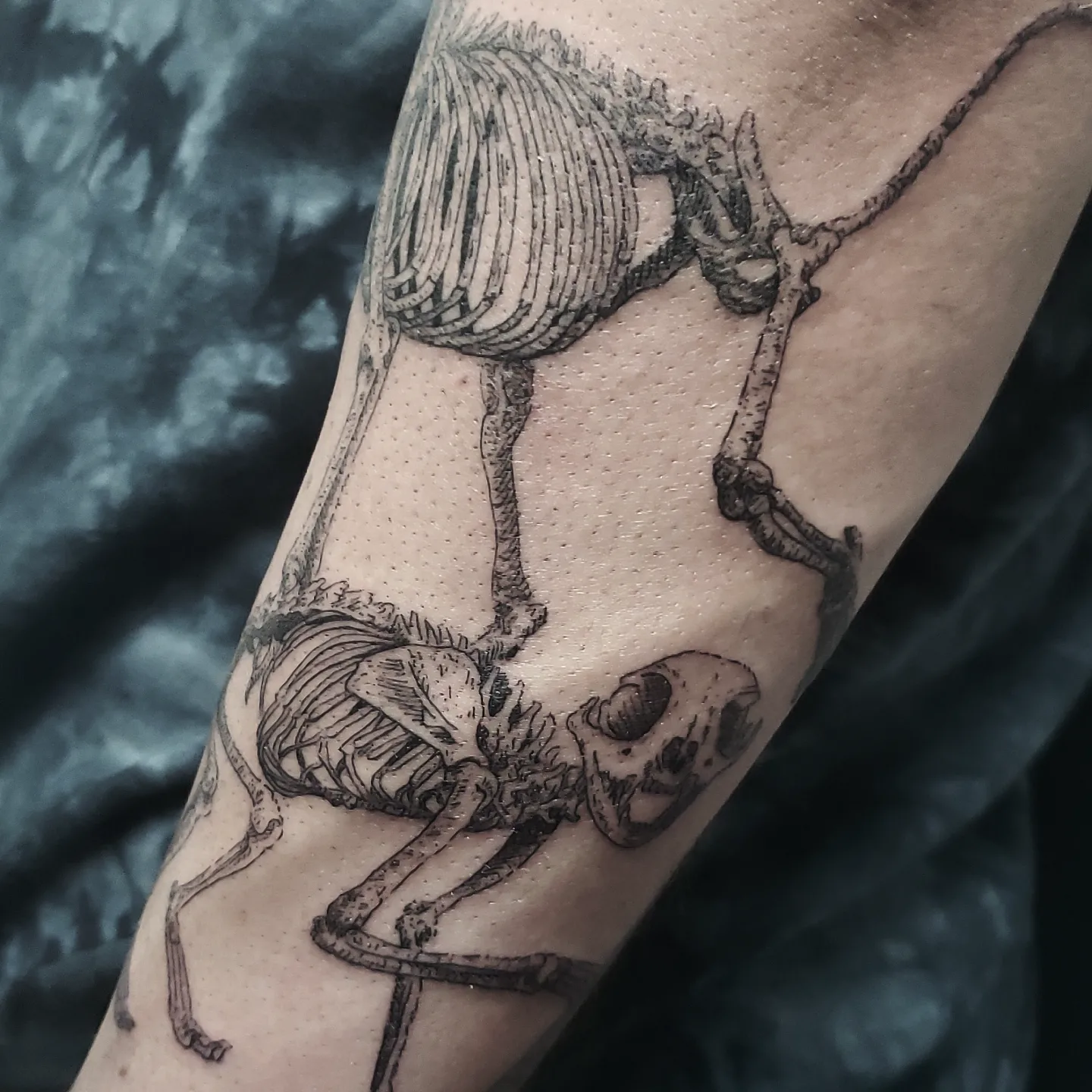 Tattoo by @kritrv — black_and_grey, realism