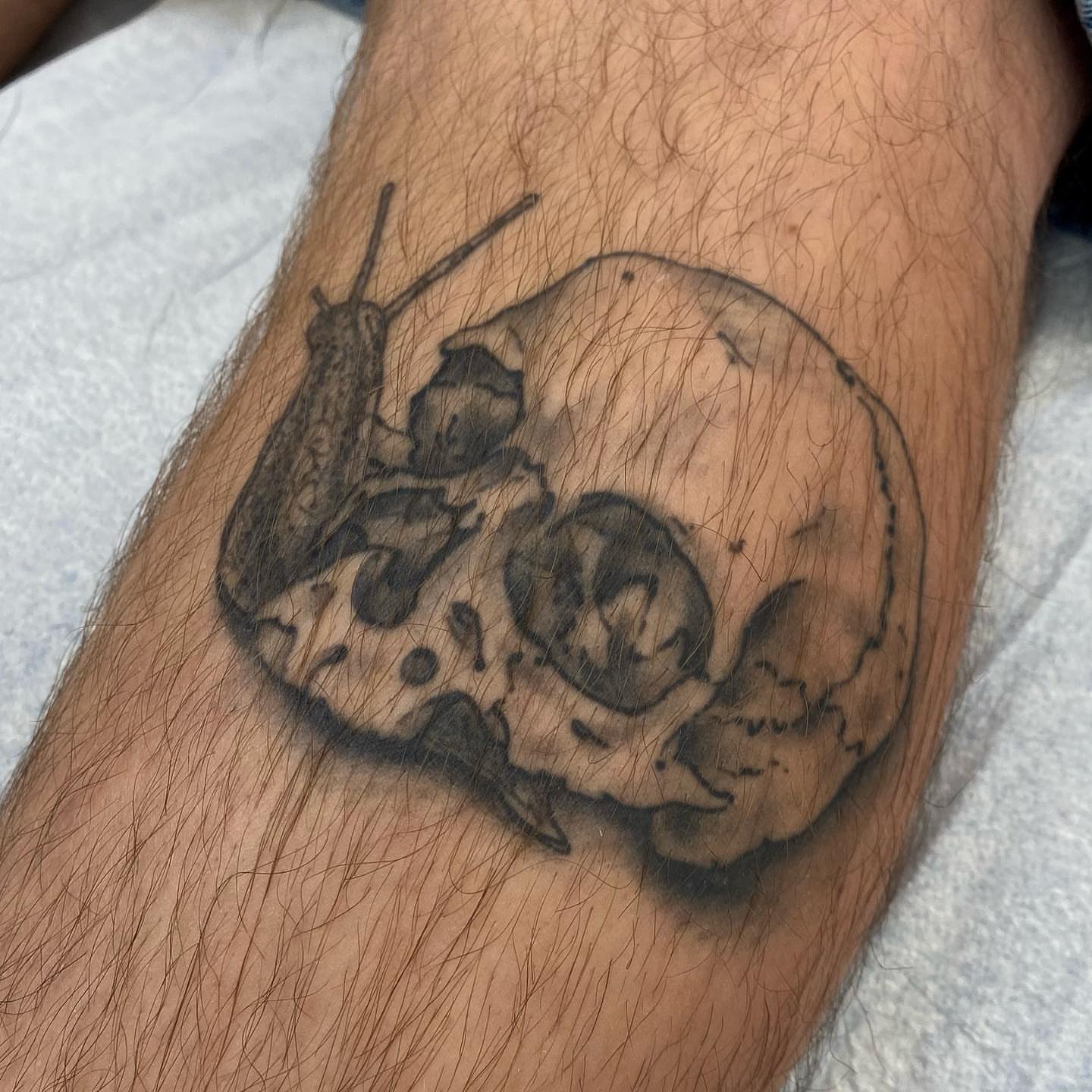 Snail and skull black and grey tattoo on the forearm by Jesse Ortega