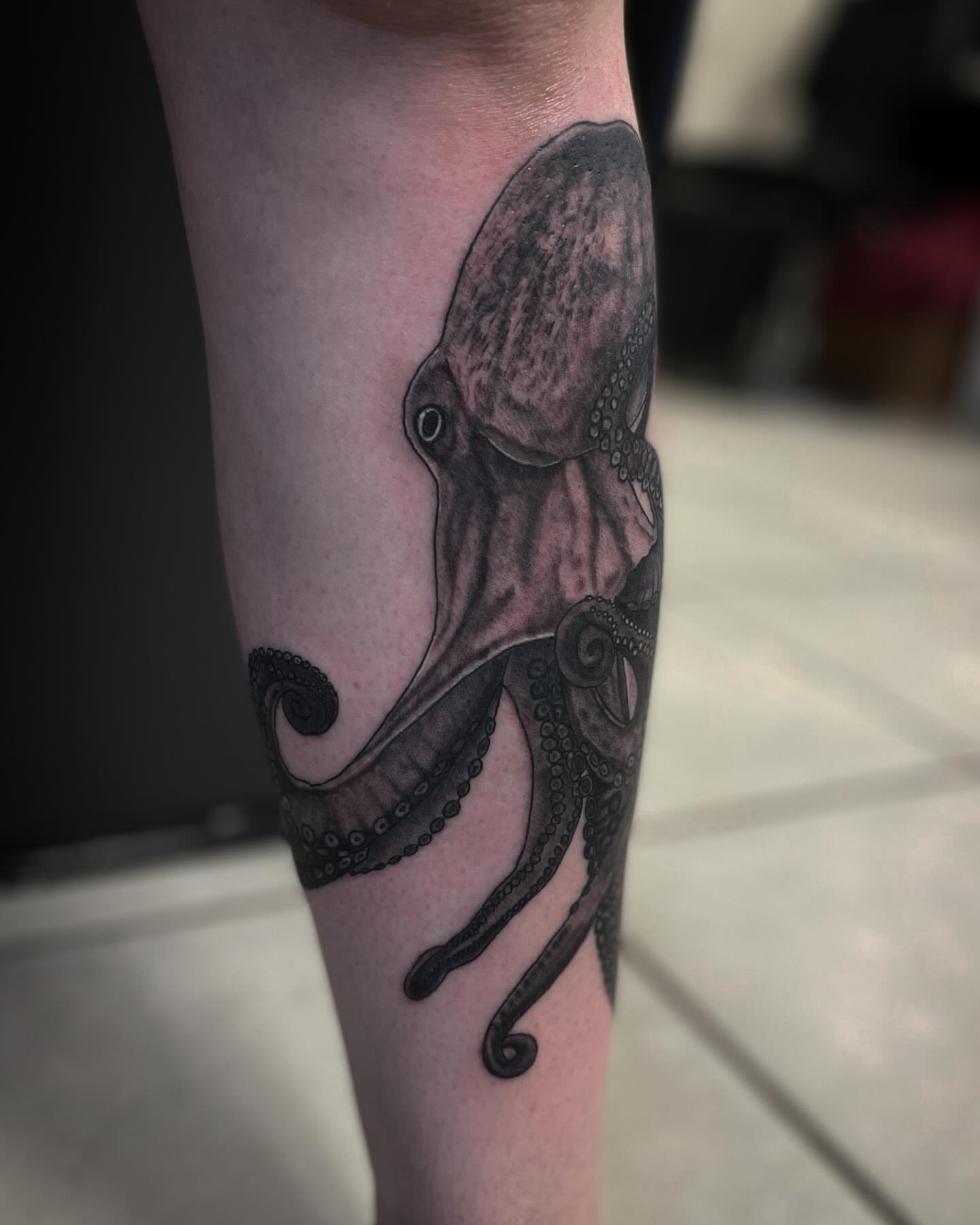 Octopus realism tattoo on the forearm by Las Vegas Tattoo Artist