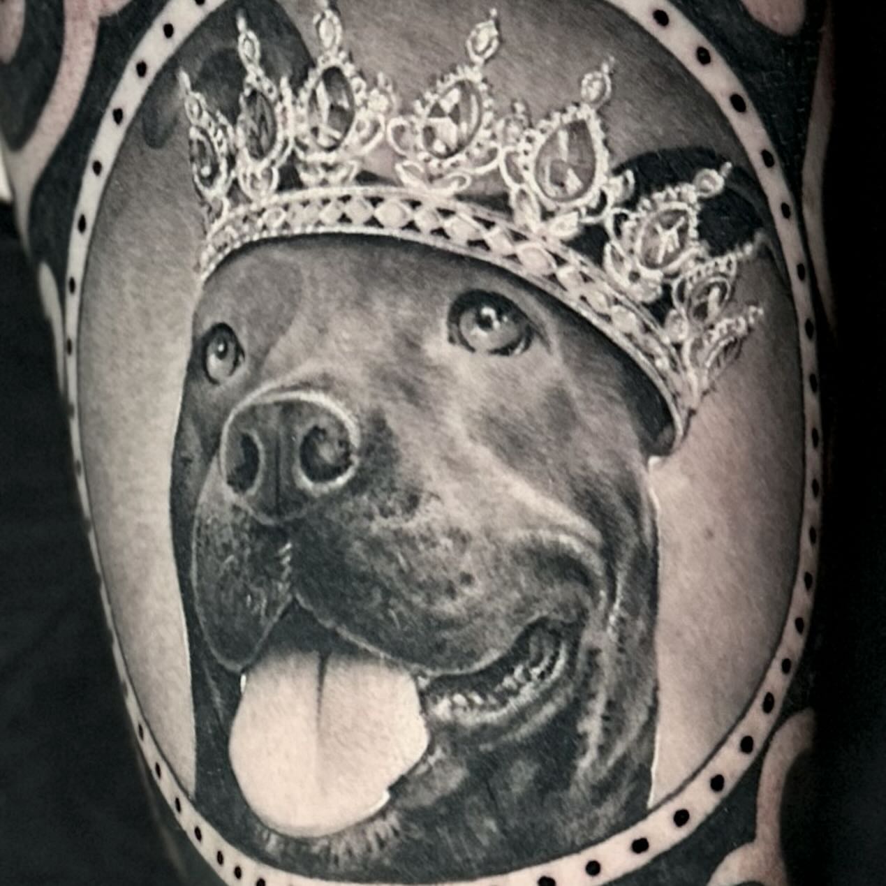 Dog wearing crown realism tattoo on the forearm by Gabe Jensen