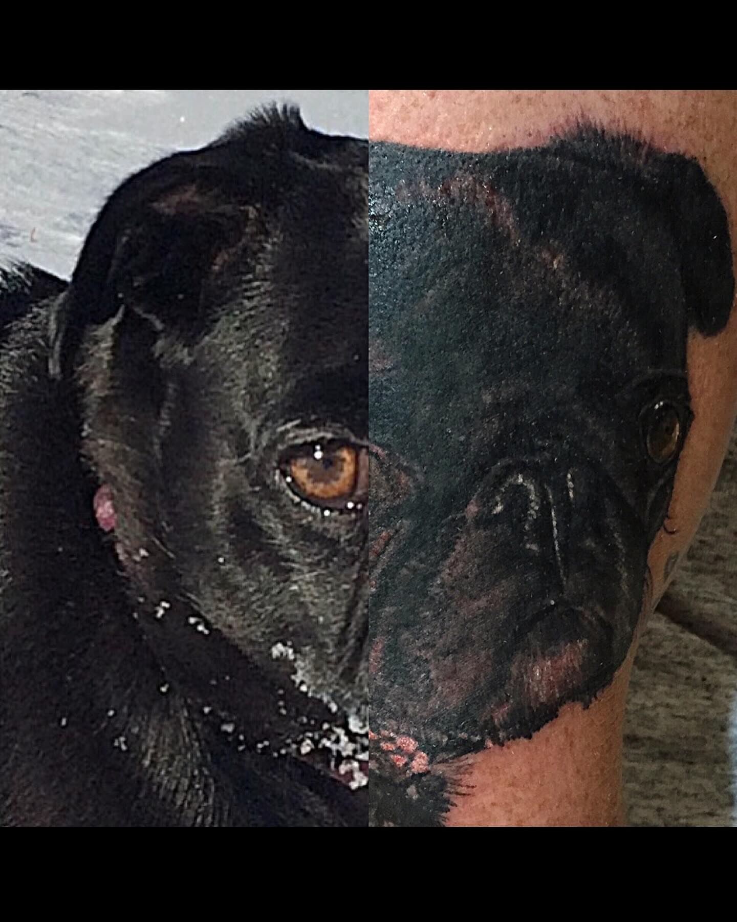 Dog realism tattoo on the forearm by Patrick Delvar