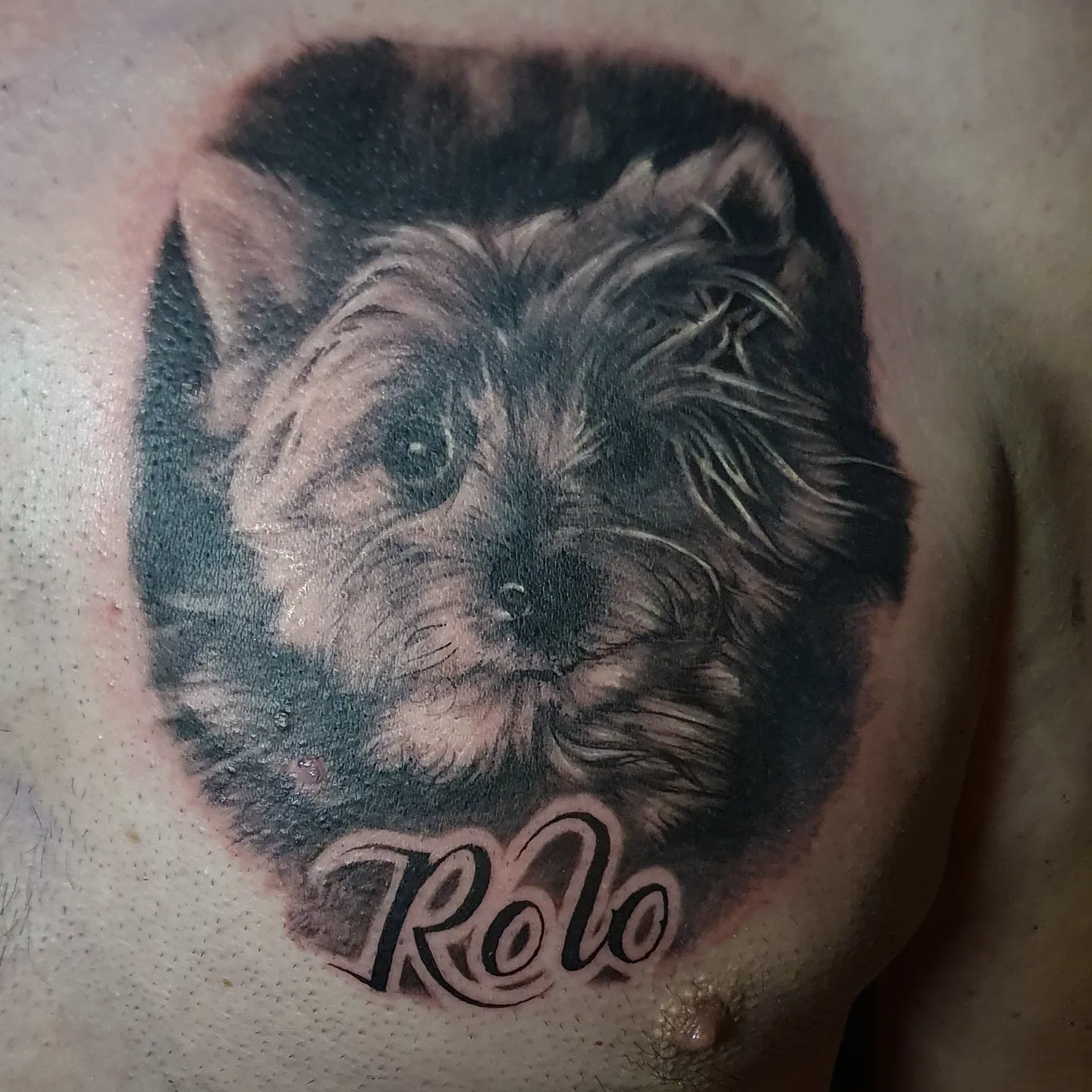 Tattoo by @y_i_n_k — realism